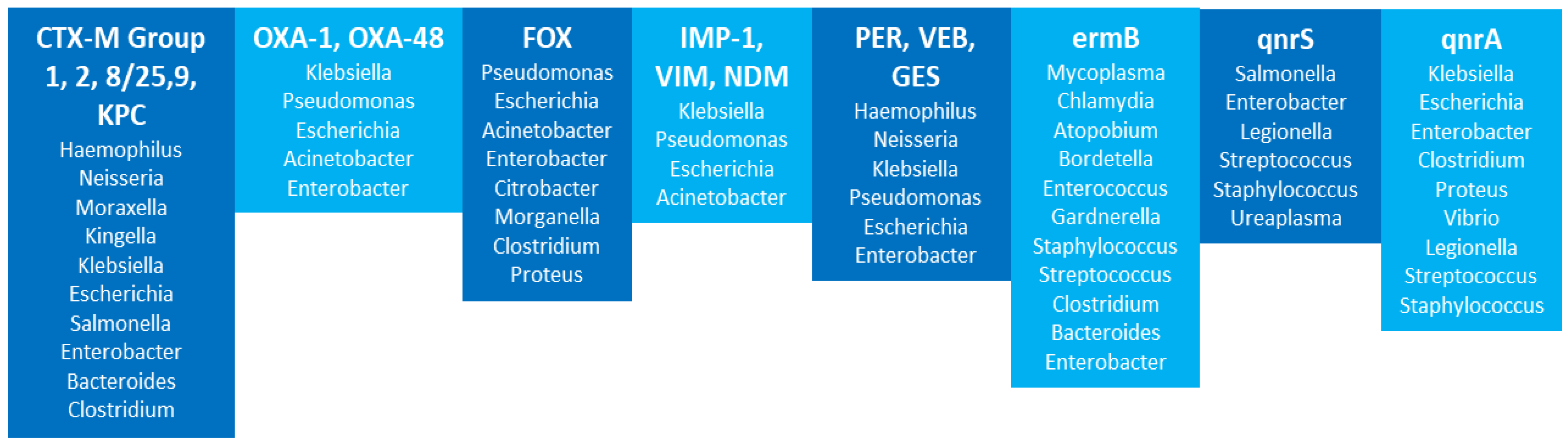 Microbiolres 14 00041 g001 Microbiolres 14 00041 g001