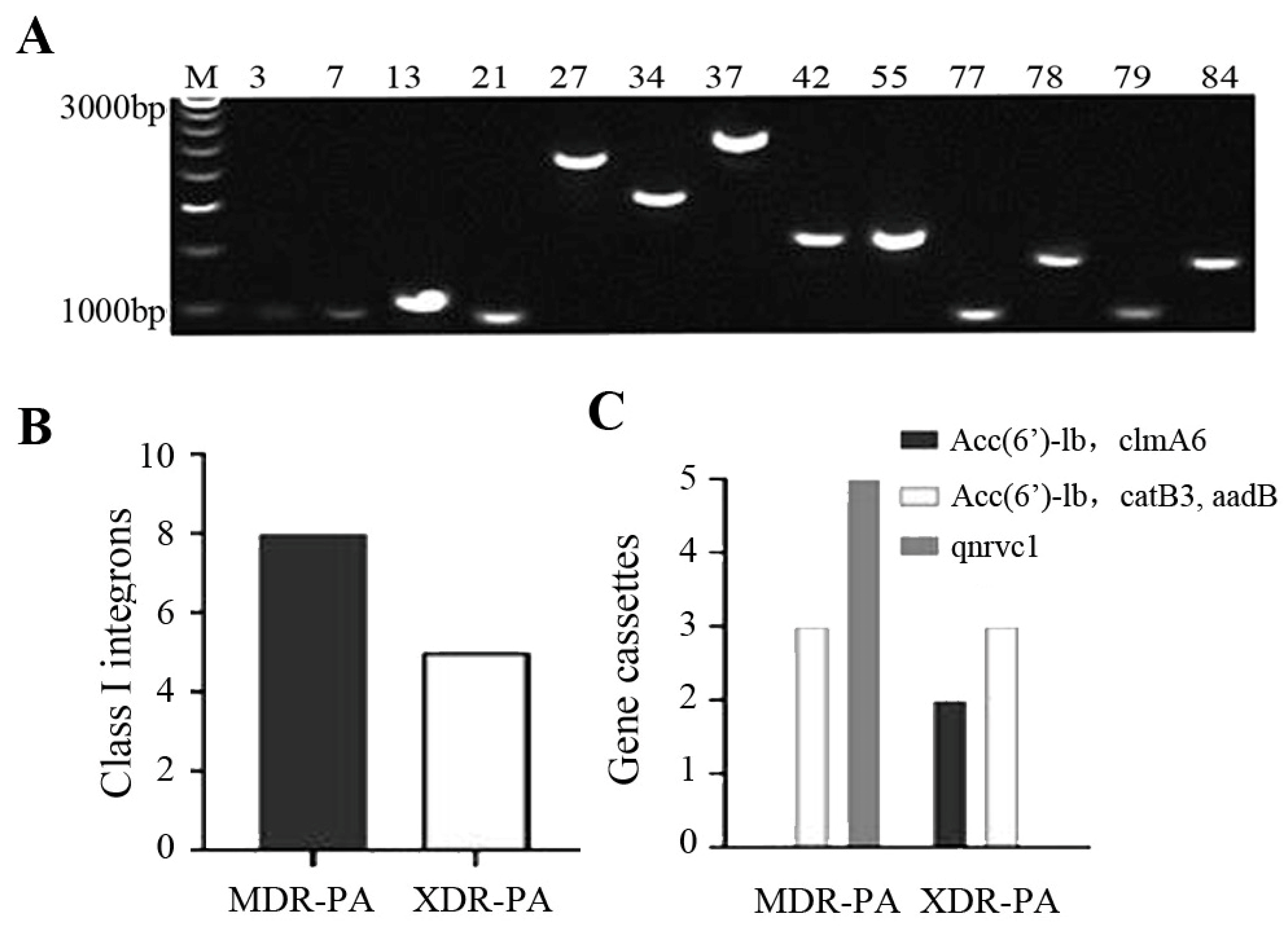 Microbiolres 14 00044 g002