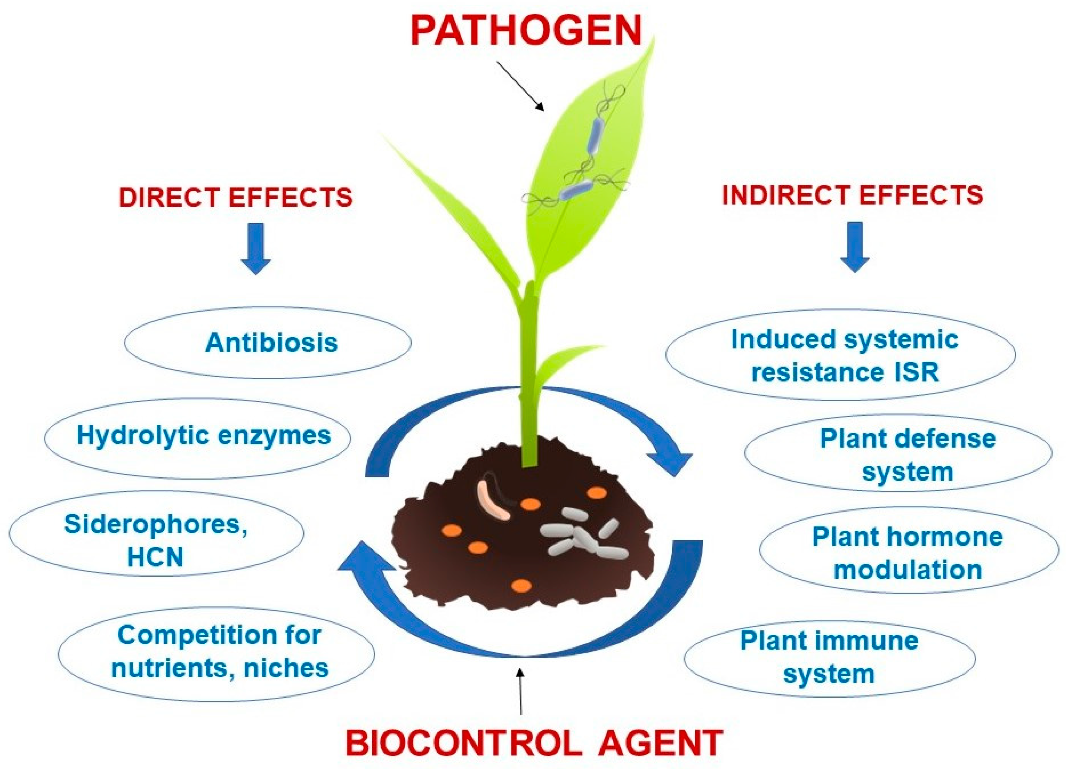 Microbiolres 14 00049 g001 Microbiolres 14 00049 g001
