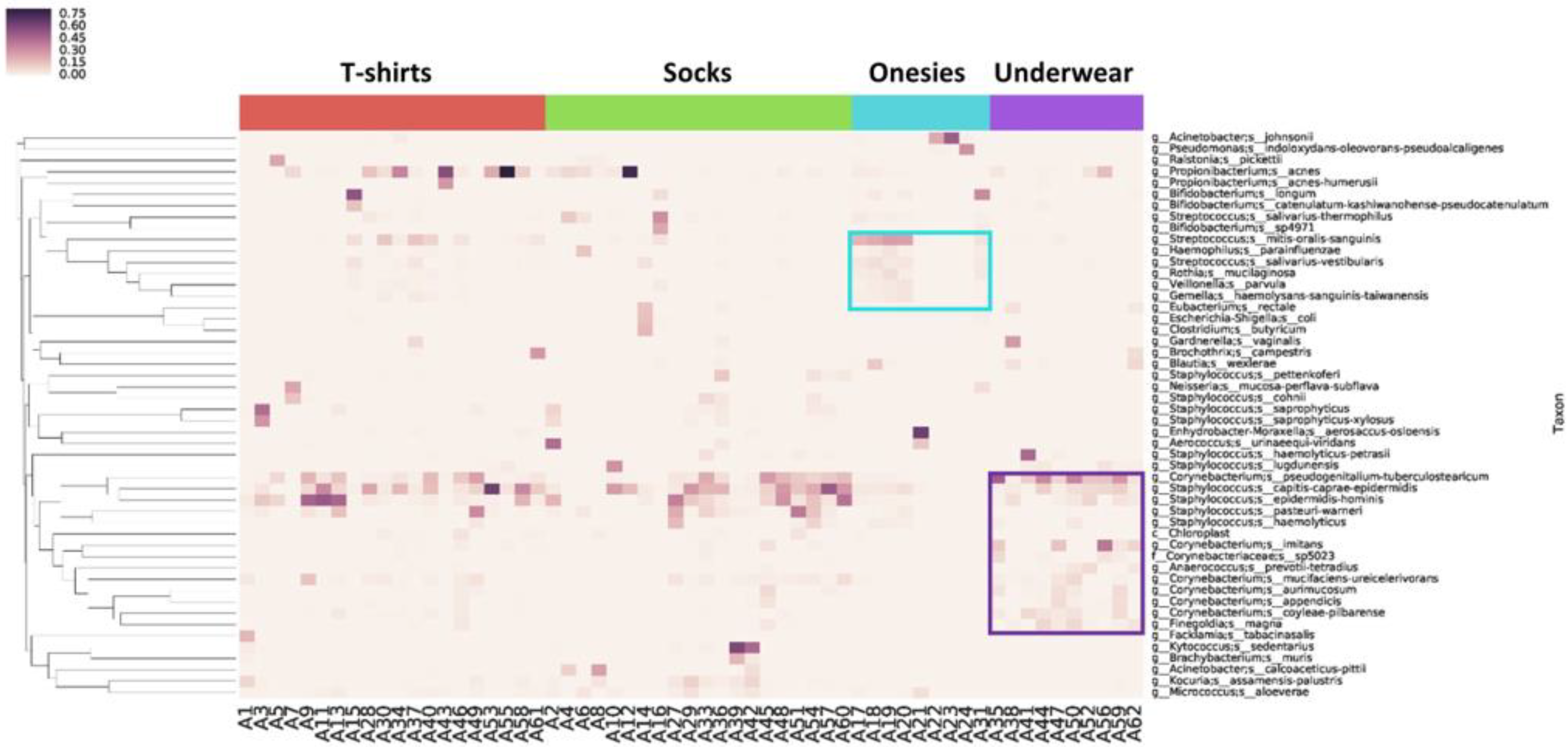 Microbiolres 14 00065 g002