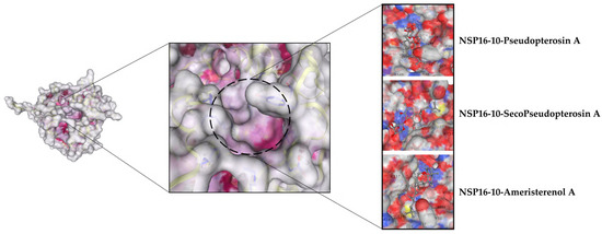 Microbiolres 14 00068 g003