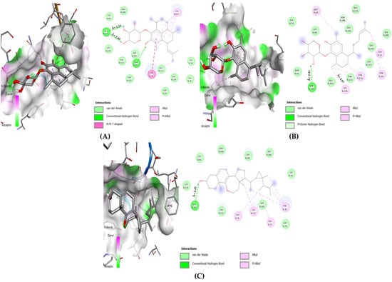 Microbiolres 14 00068 g004
