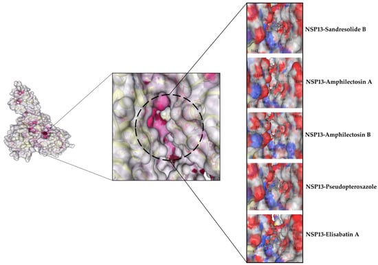 Microbiolres 14 00068 g005