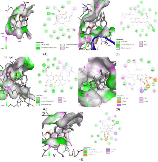 Microbiolres 14 00068 g006