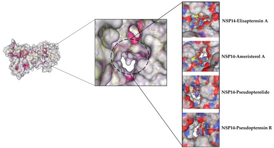 Microbiolres 14 00068 g007