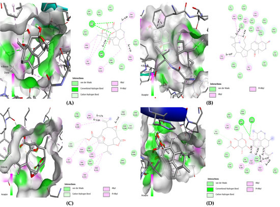 Microbiolres 14 00068 g008