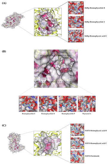 Microbiolres 14 00069 g003
