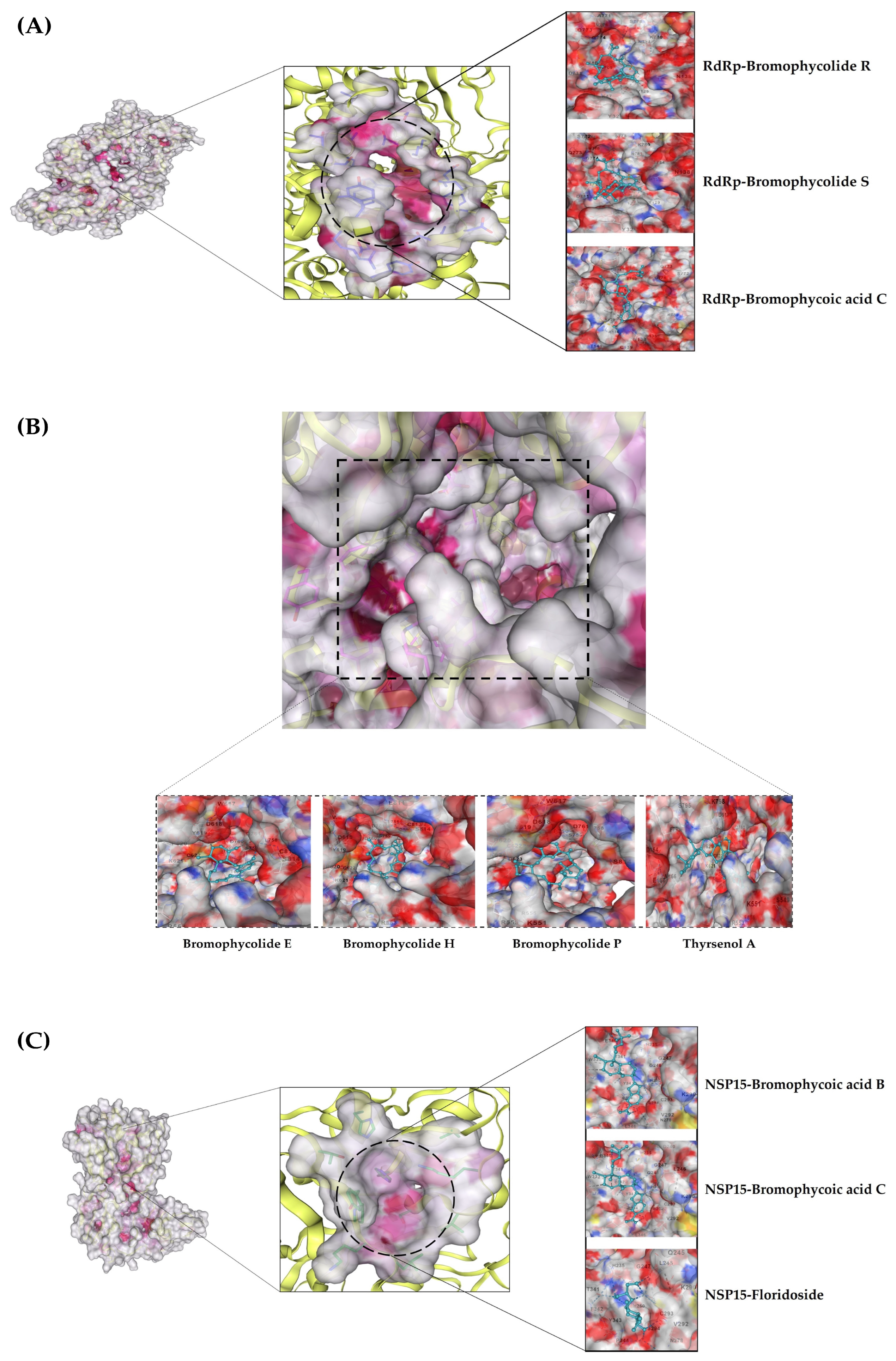 Microbiolres 14 00069 g003