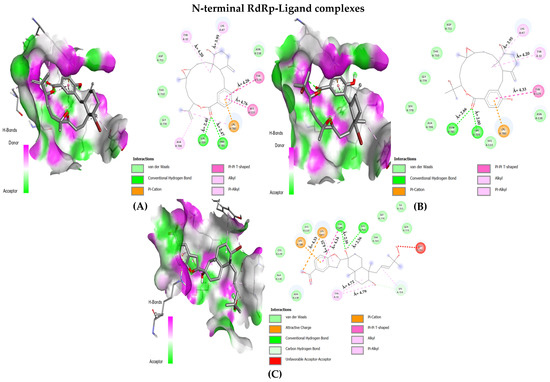 Microbiolres 14 00069 g004