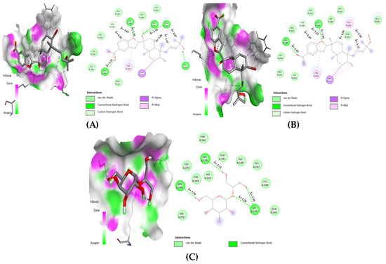 Microbiolres 14 00069 g006
