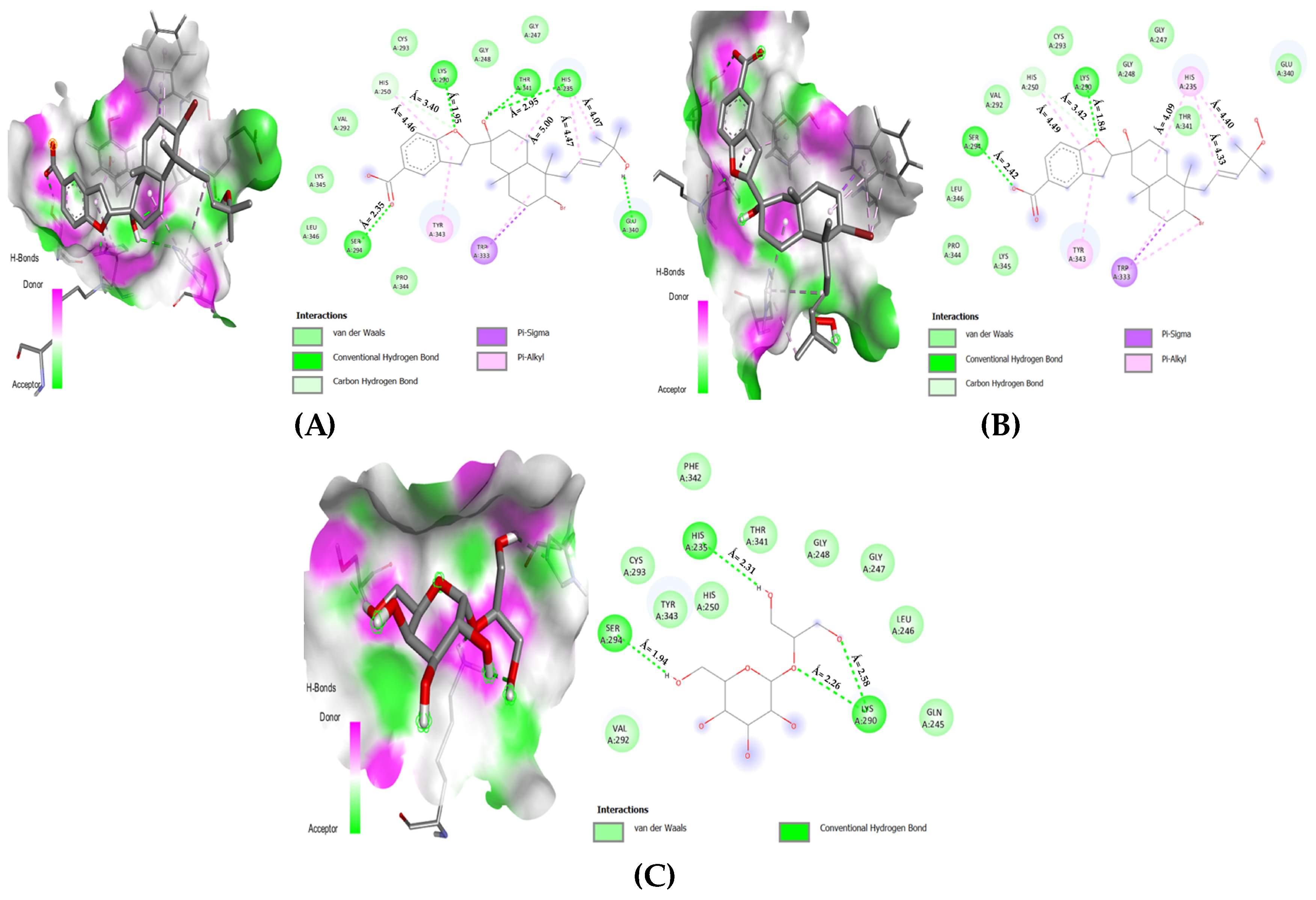 Microbiolres 14 00069 g006
