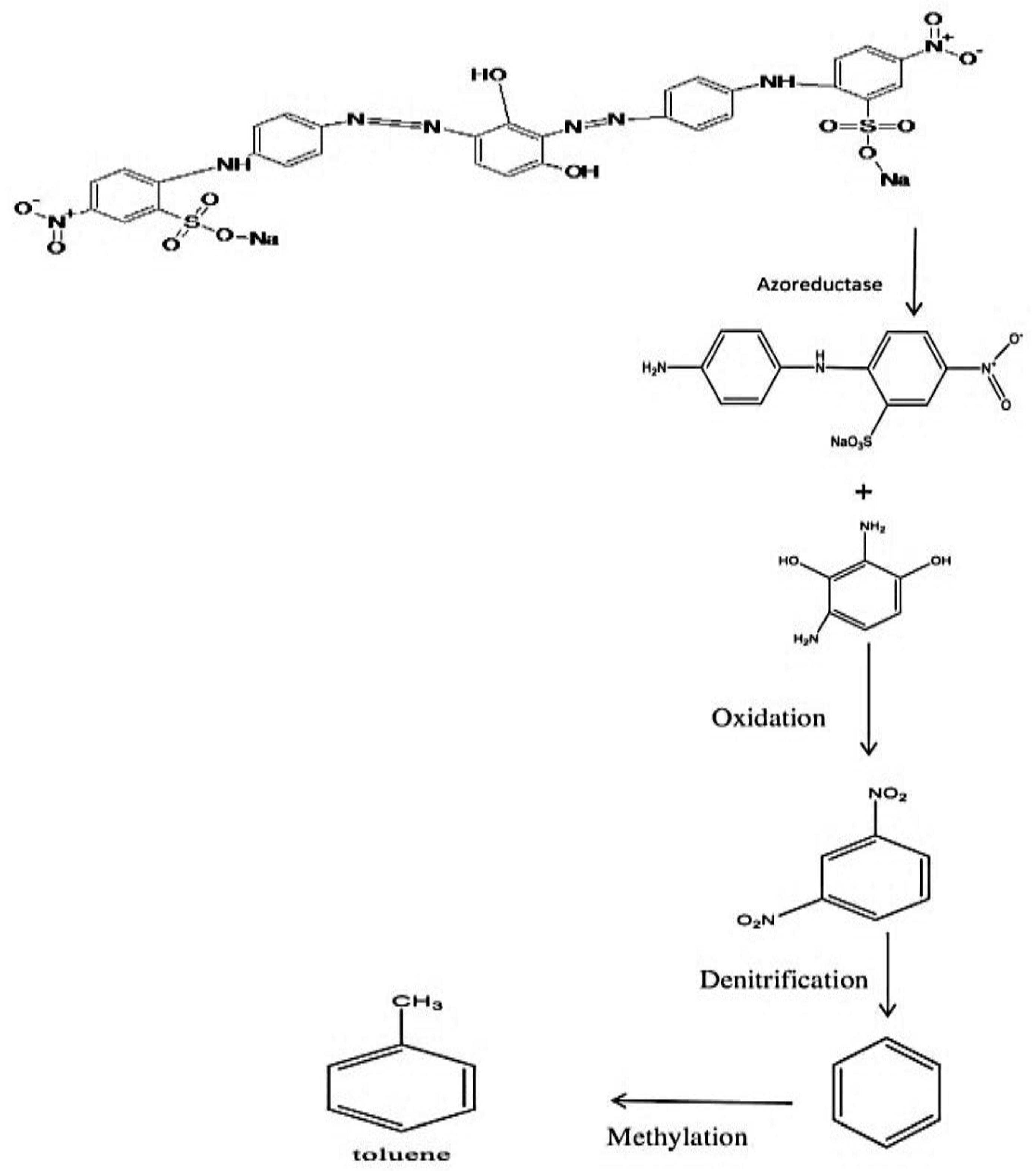 Microbiolres 14 00070 sch001 Microbiolres 14 00070 sch001