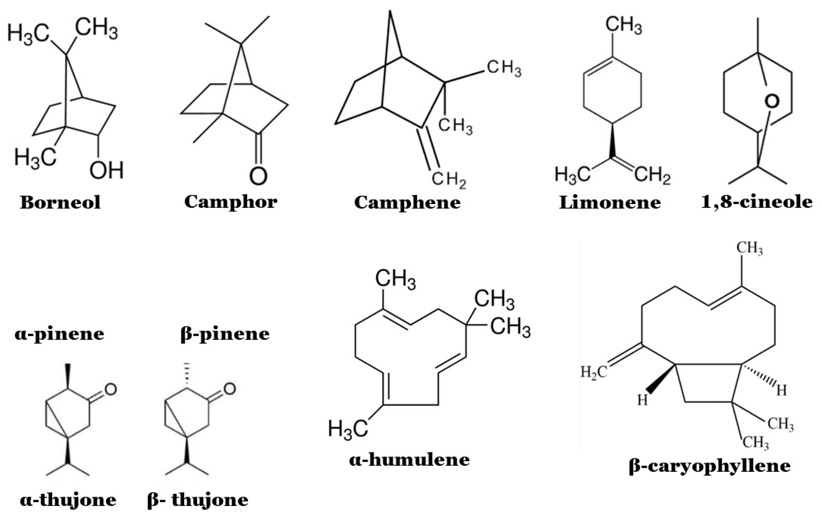 Microbiolres 14 00073 g001