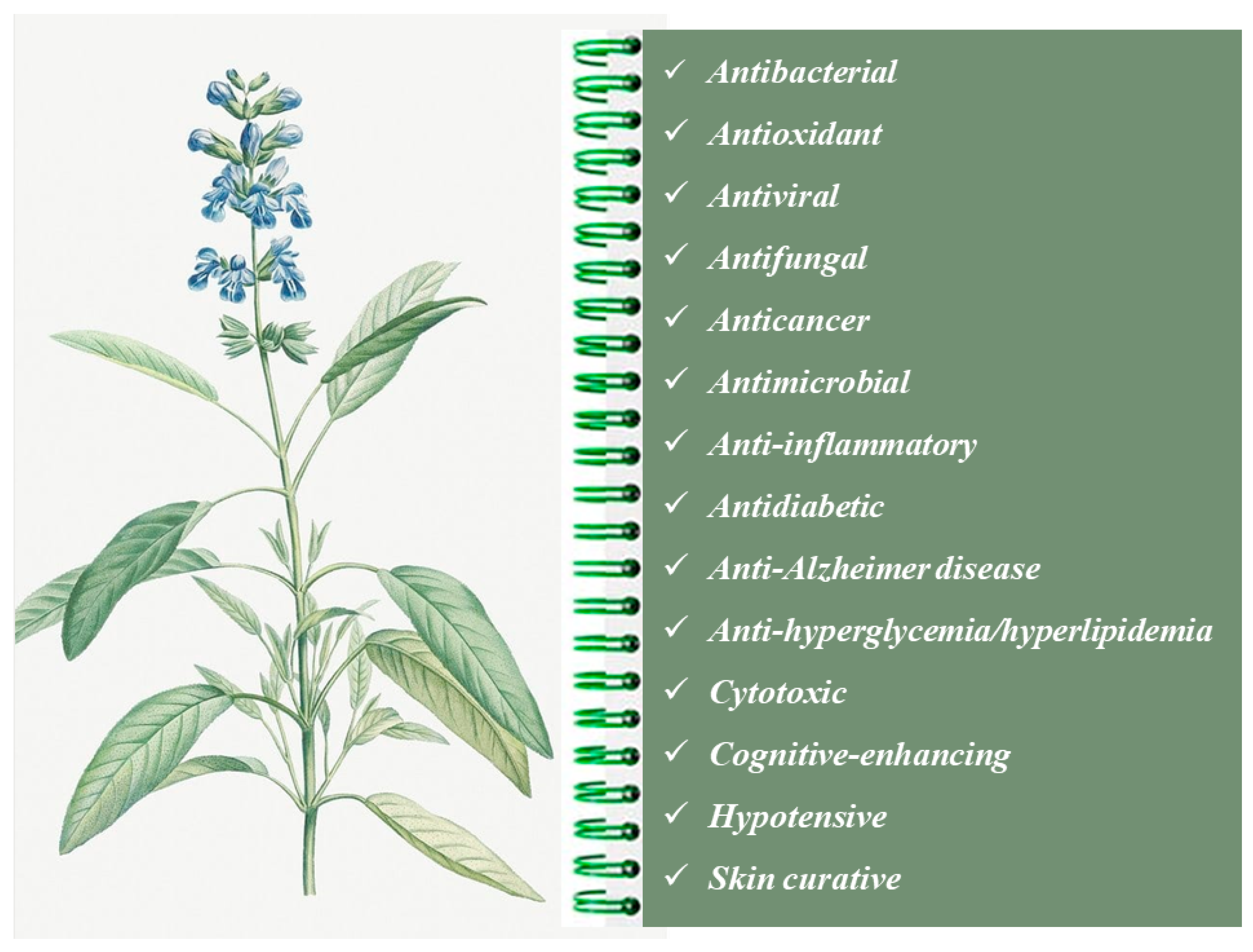 Microbiolres 14 00073 g002
