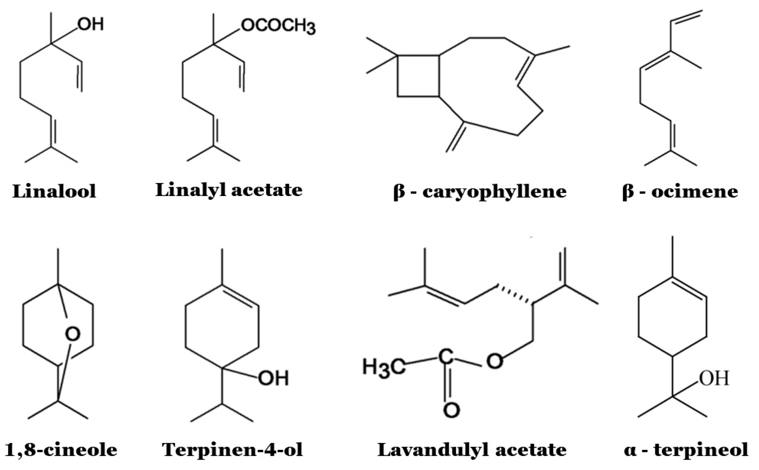 Microbiolres 14 00073 g003