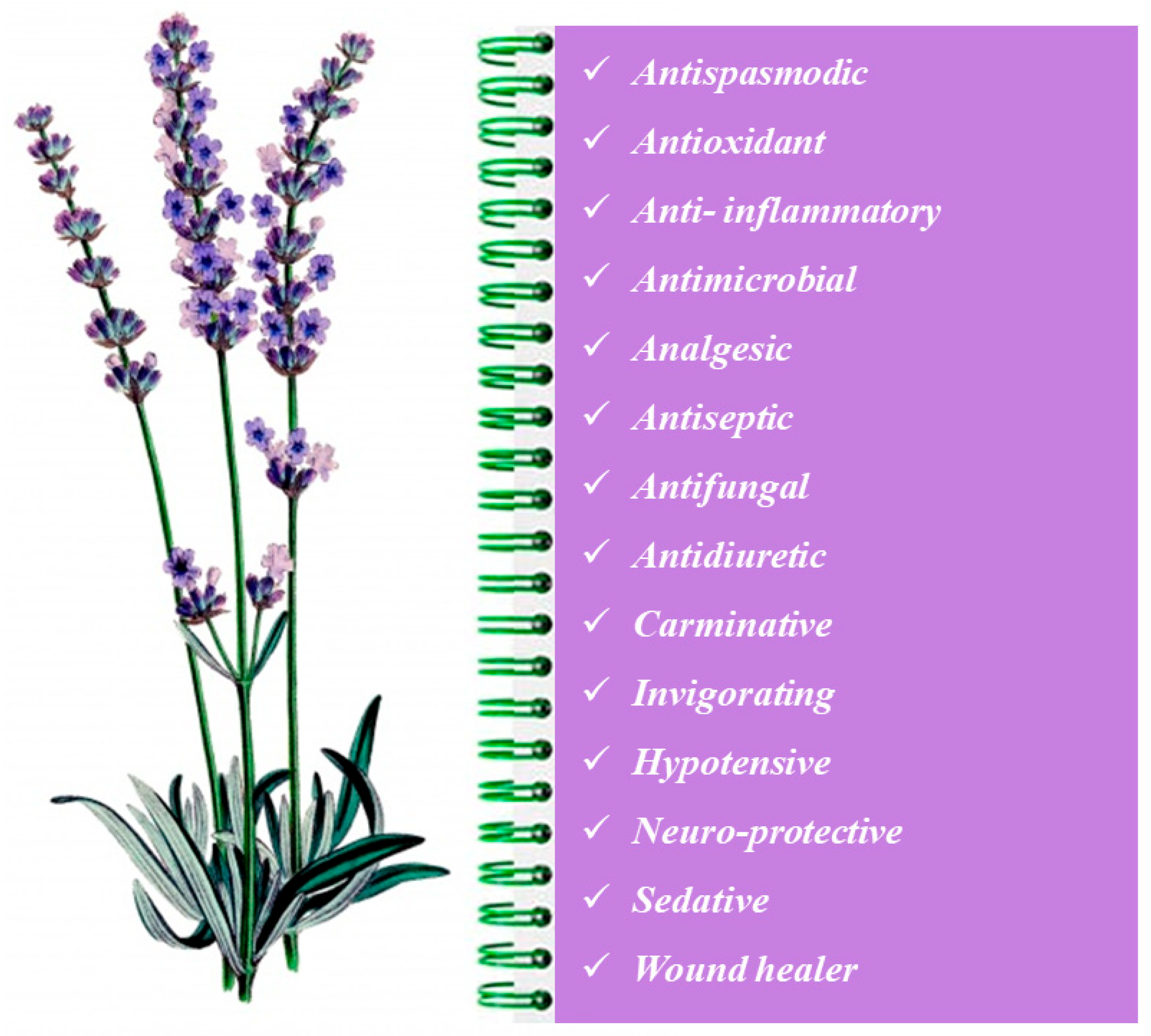 Microbiolres 14 00073 g004