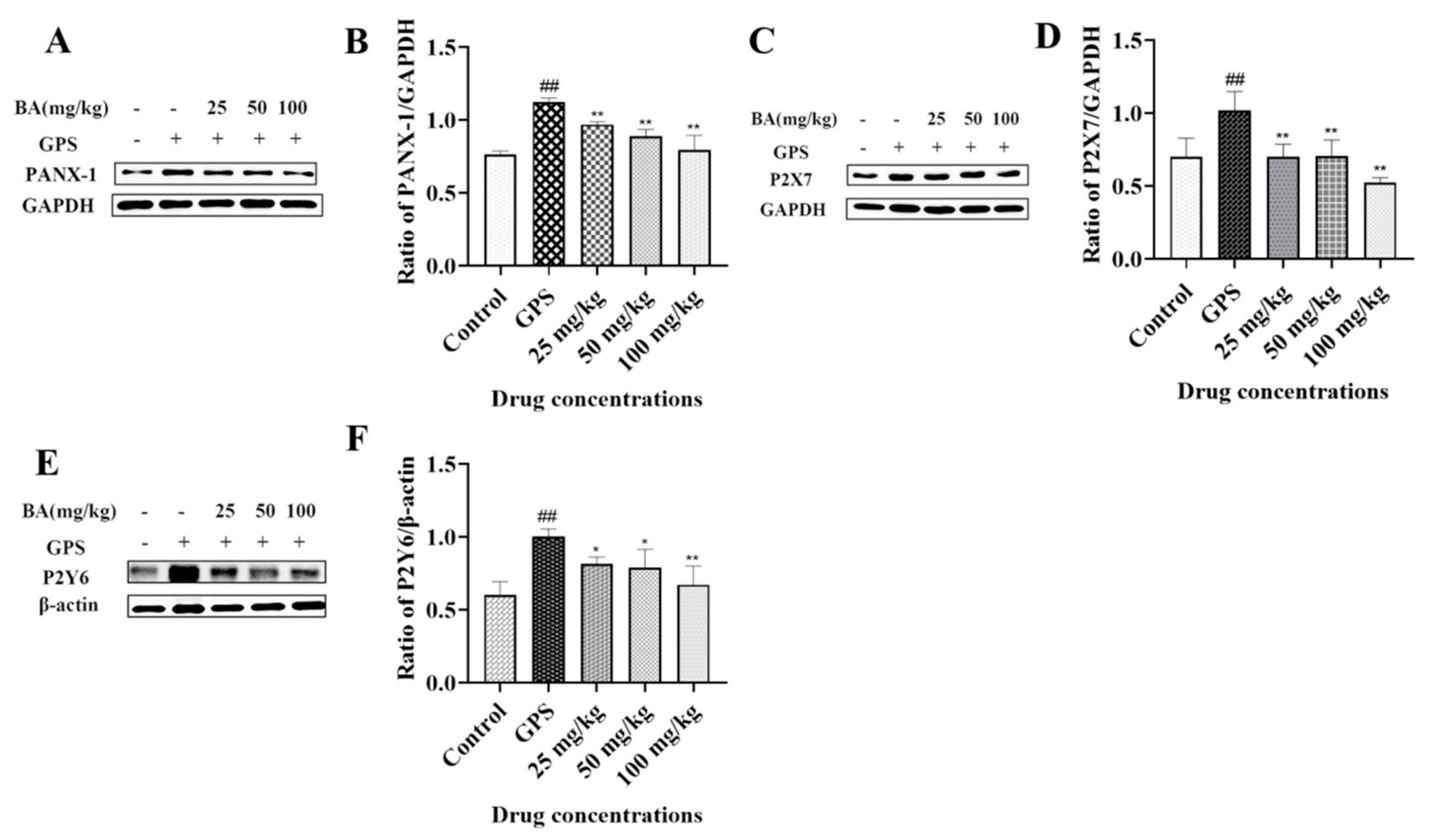 Microbiolres 14 00074 g001 Microbiolres 14 00074 g001