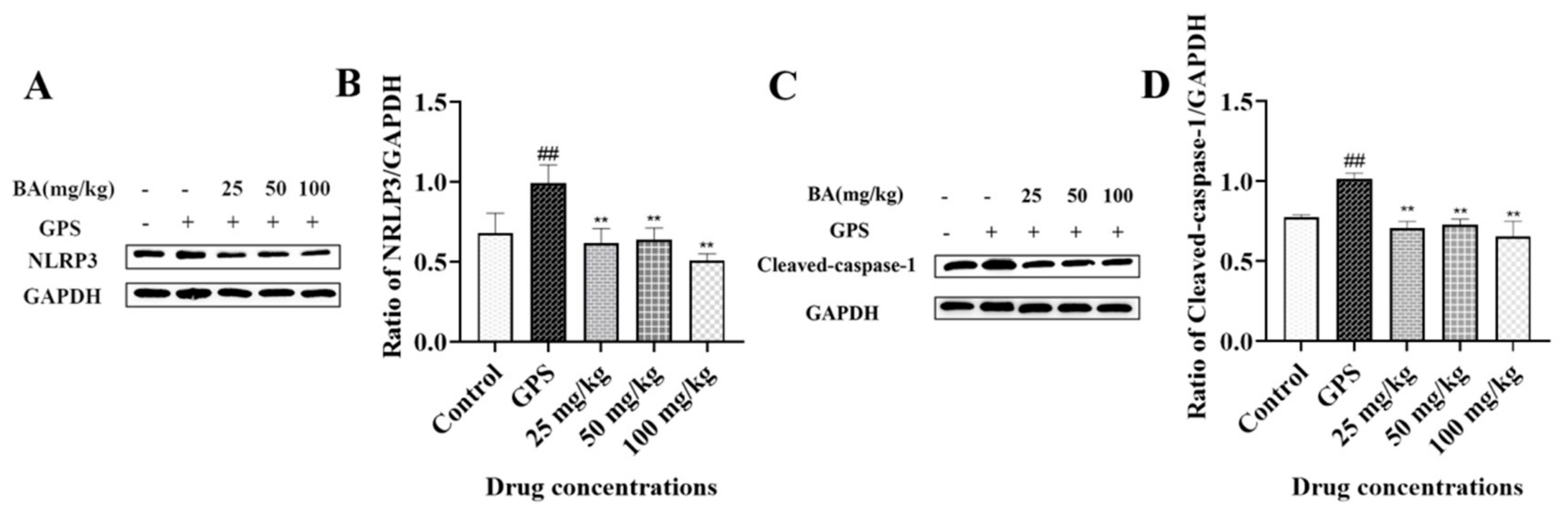 Microbiolres 14 00074 g002 Microbiolres 14 00074 g002