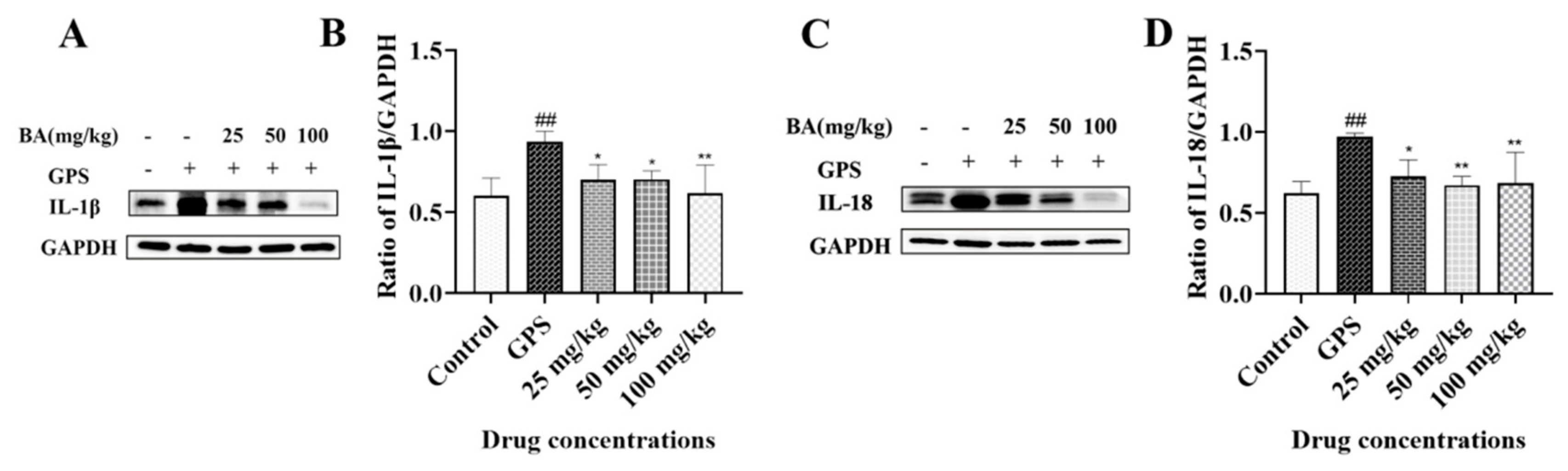 Microbiolres 14 00074 g003 Microbiolres 14 00074 g003
