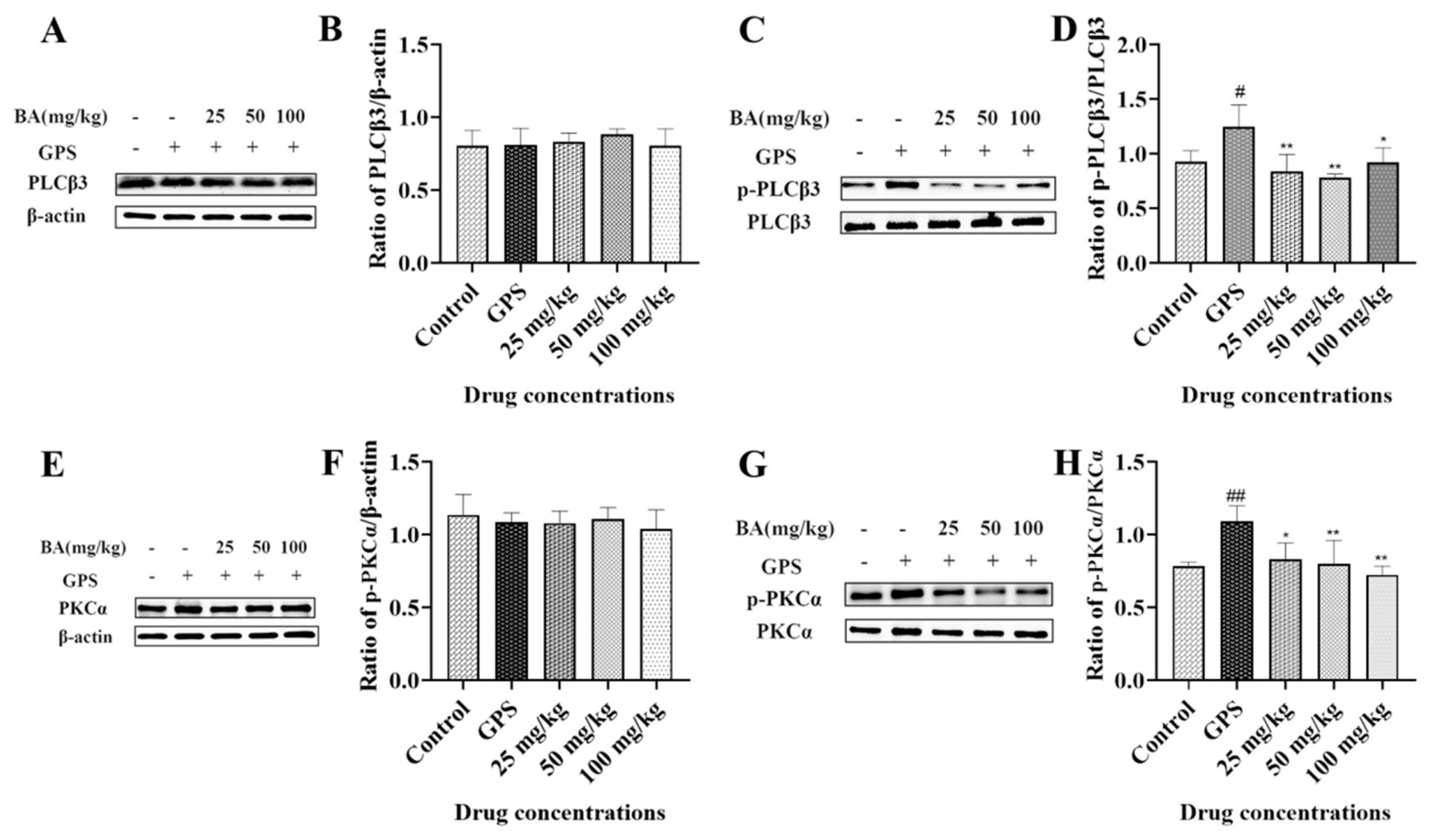 Microbiolres 14 00074 g004 Microbiolres 14 00074 g004