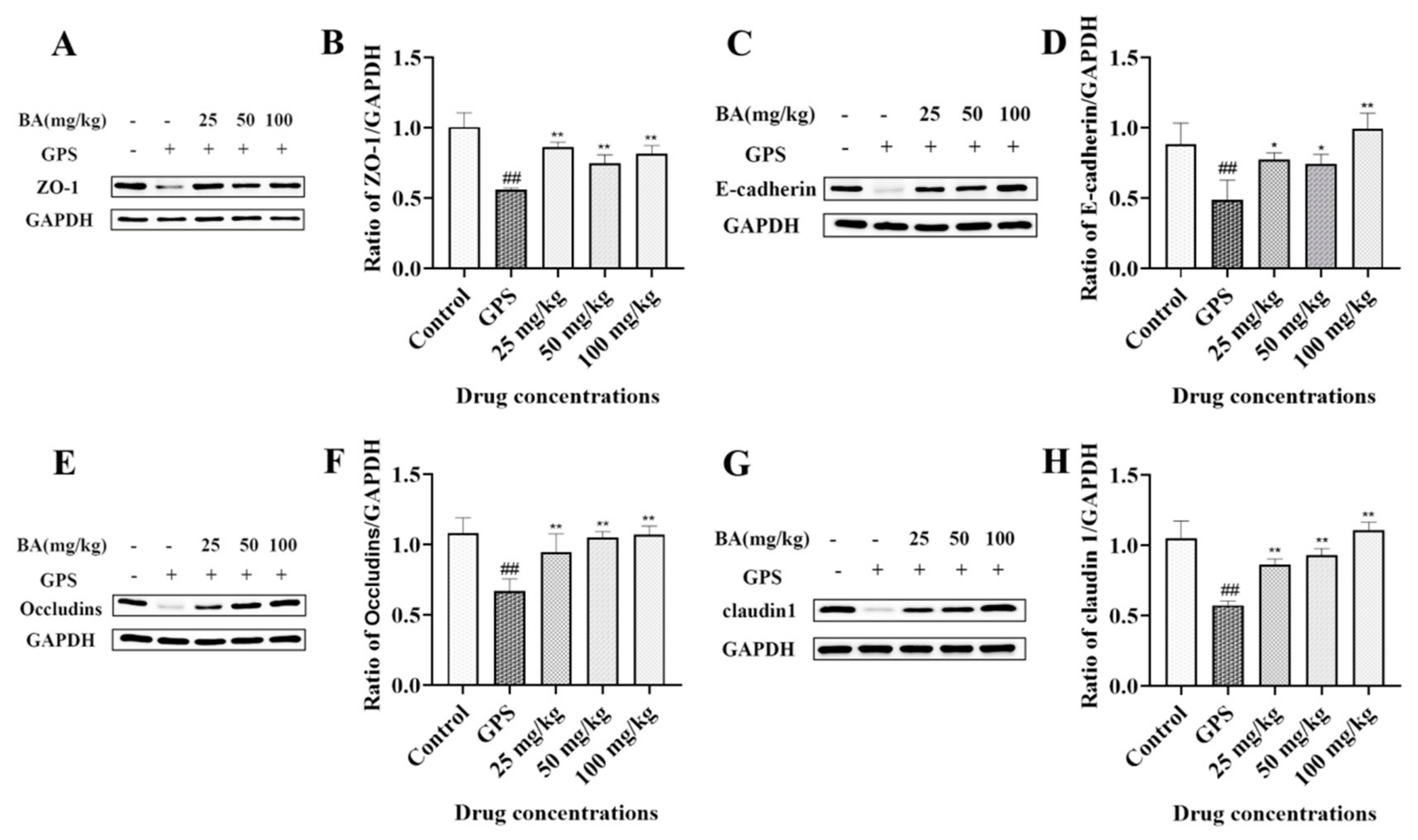 Microbiolres 14 00074 g006 Microbiolres 14 00074 g006