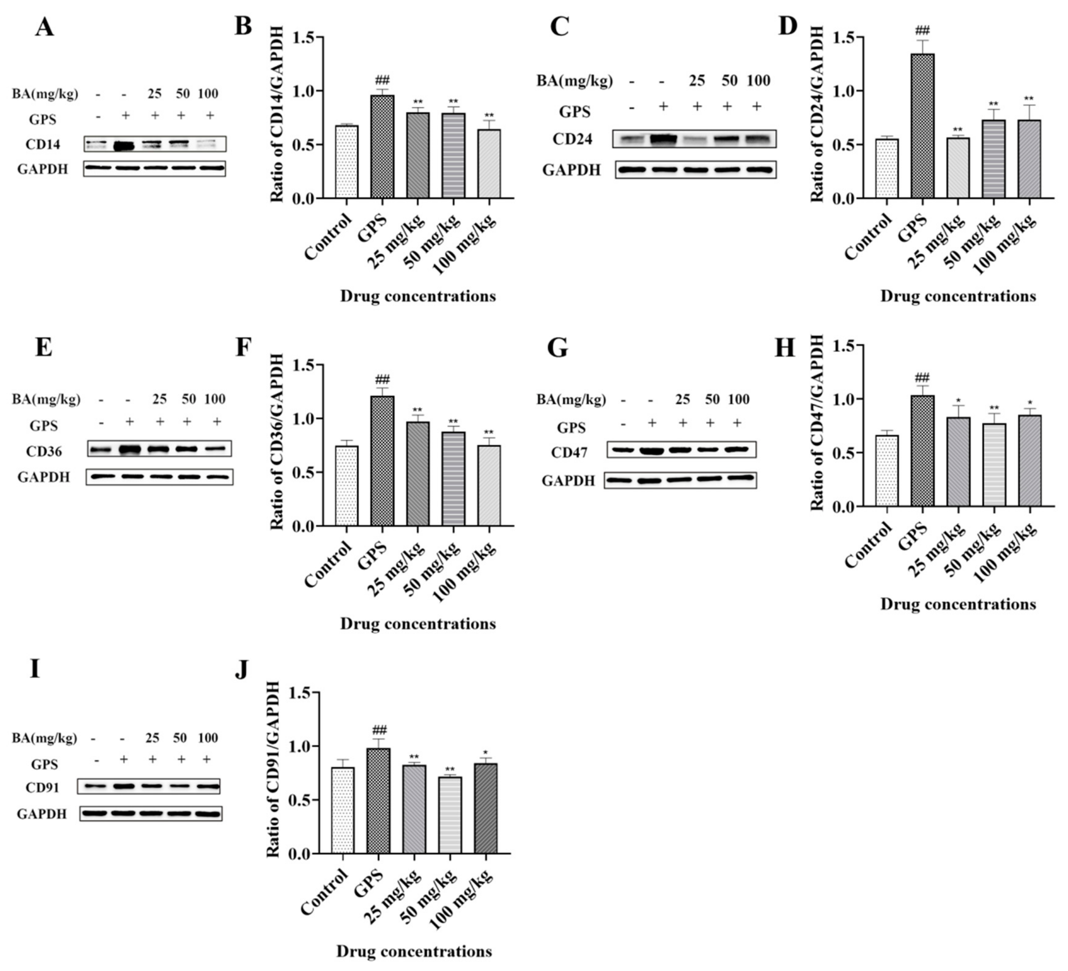 Microbiolres 14 00074 g007 Microbiolres 14 00074 g007