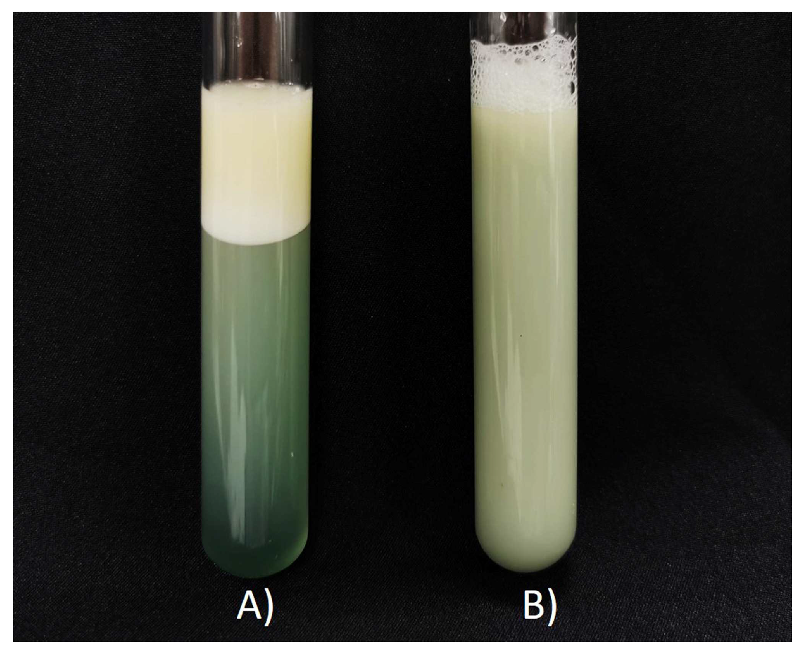 Microbiolres 14 00076 g002