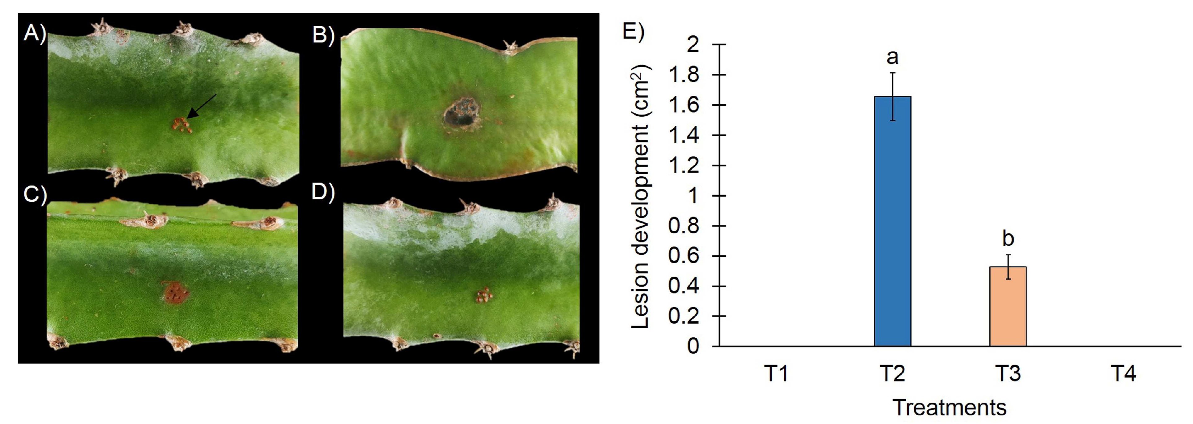 Microbiolres 14 00076 g003