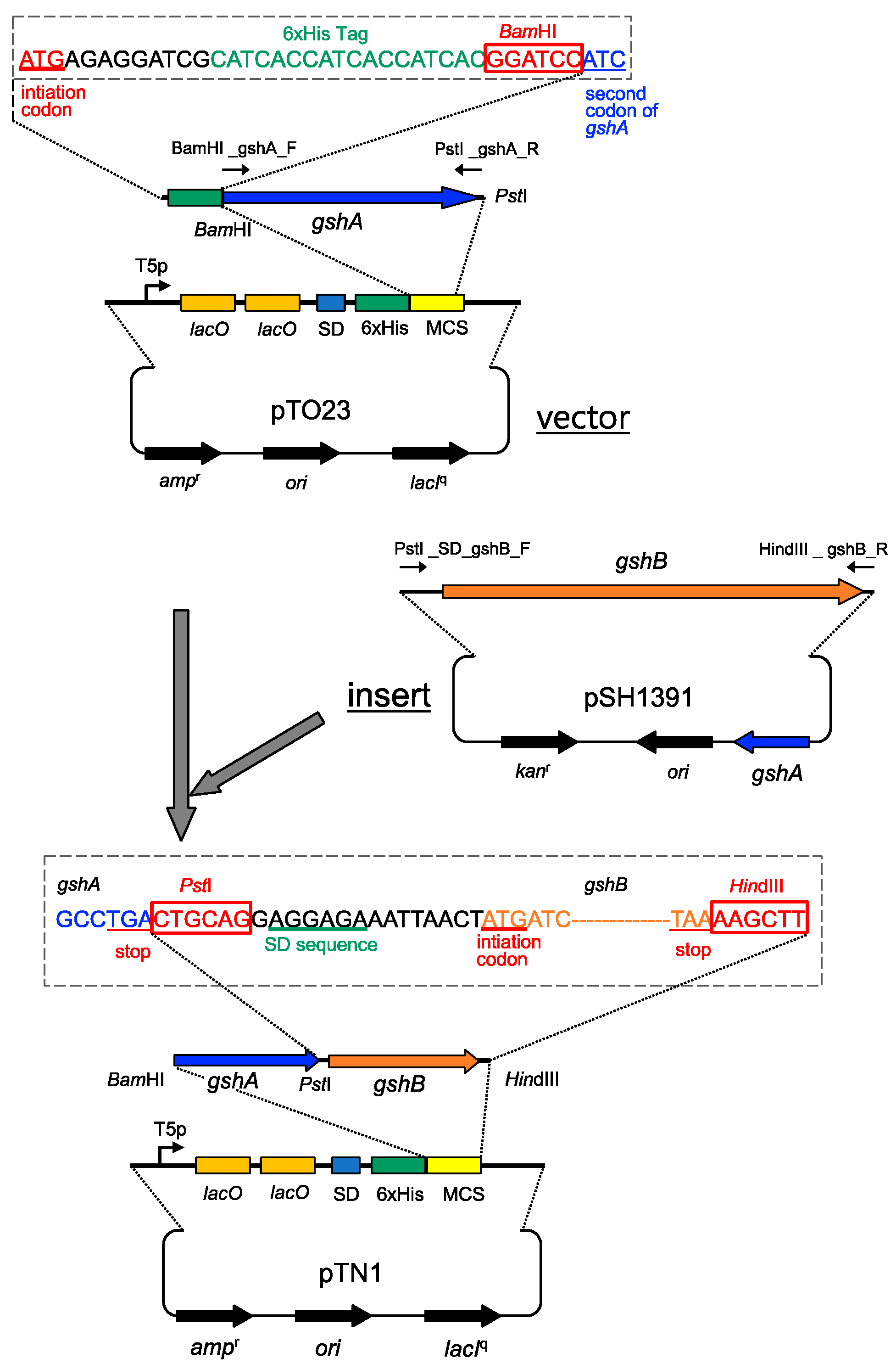 Microbiolres 14 00080 g001