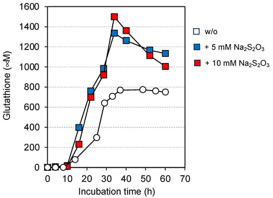 Microbiolres 14 00080 g003