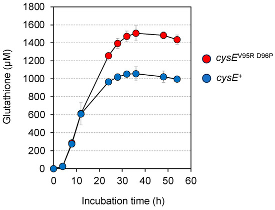 Microbiolres 14 00080 g004