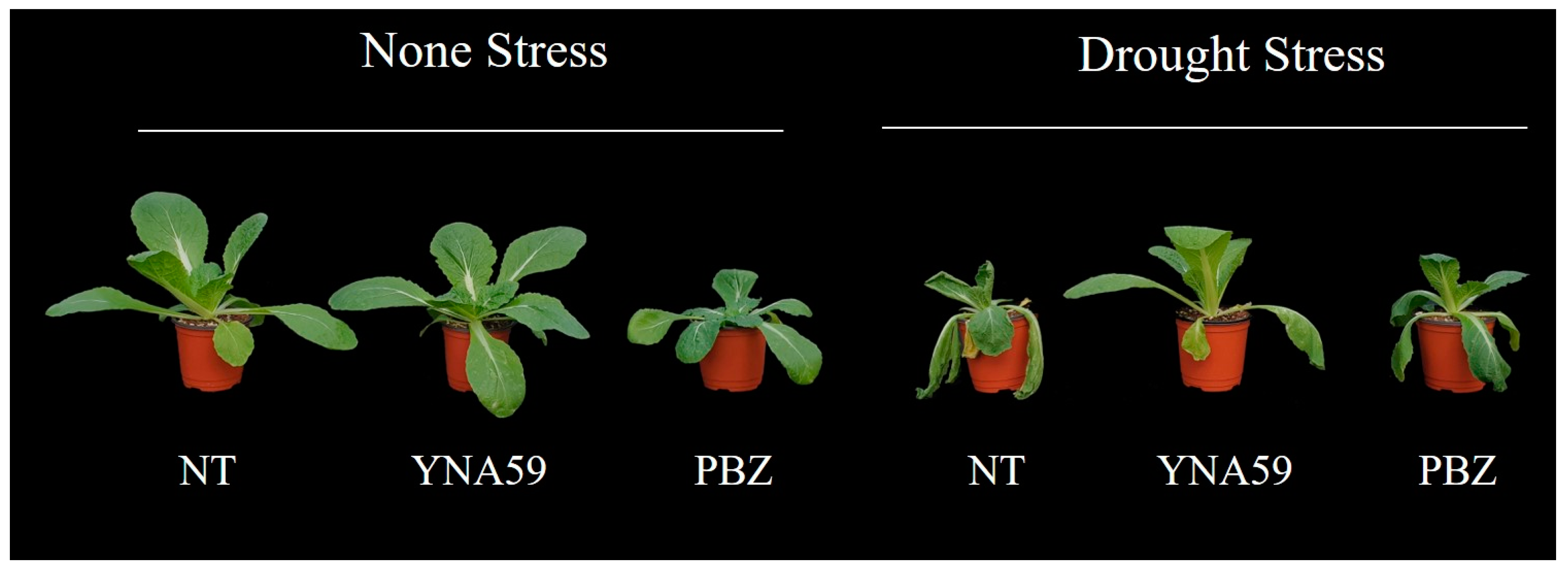Microbiolres 14 00081 g001