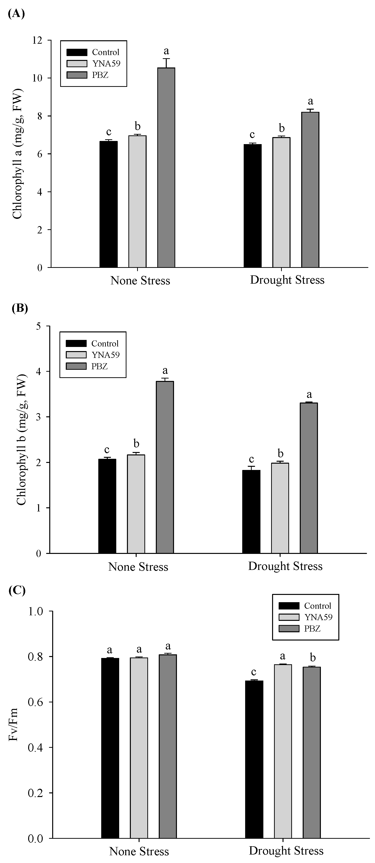 Microbiolres 14 00081 g002