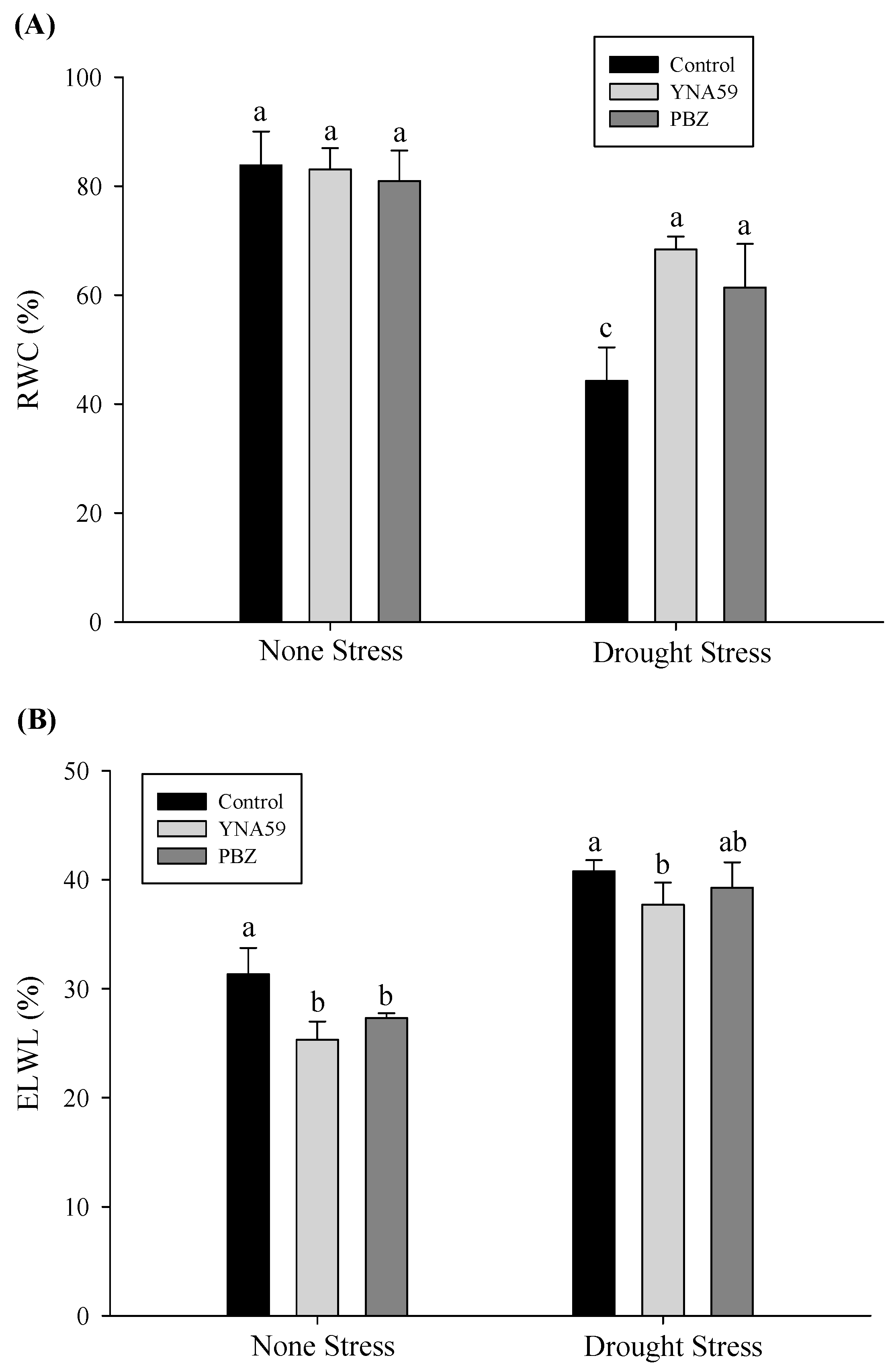Microbiolres 14 00081 g003