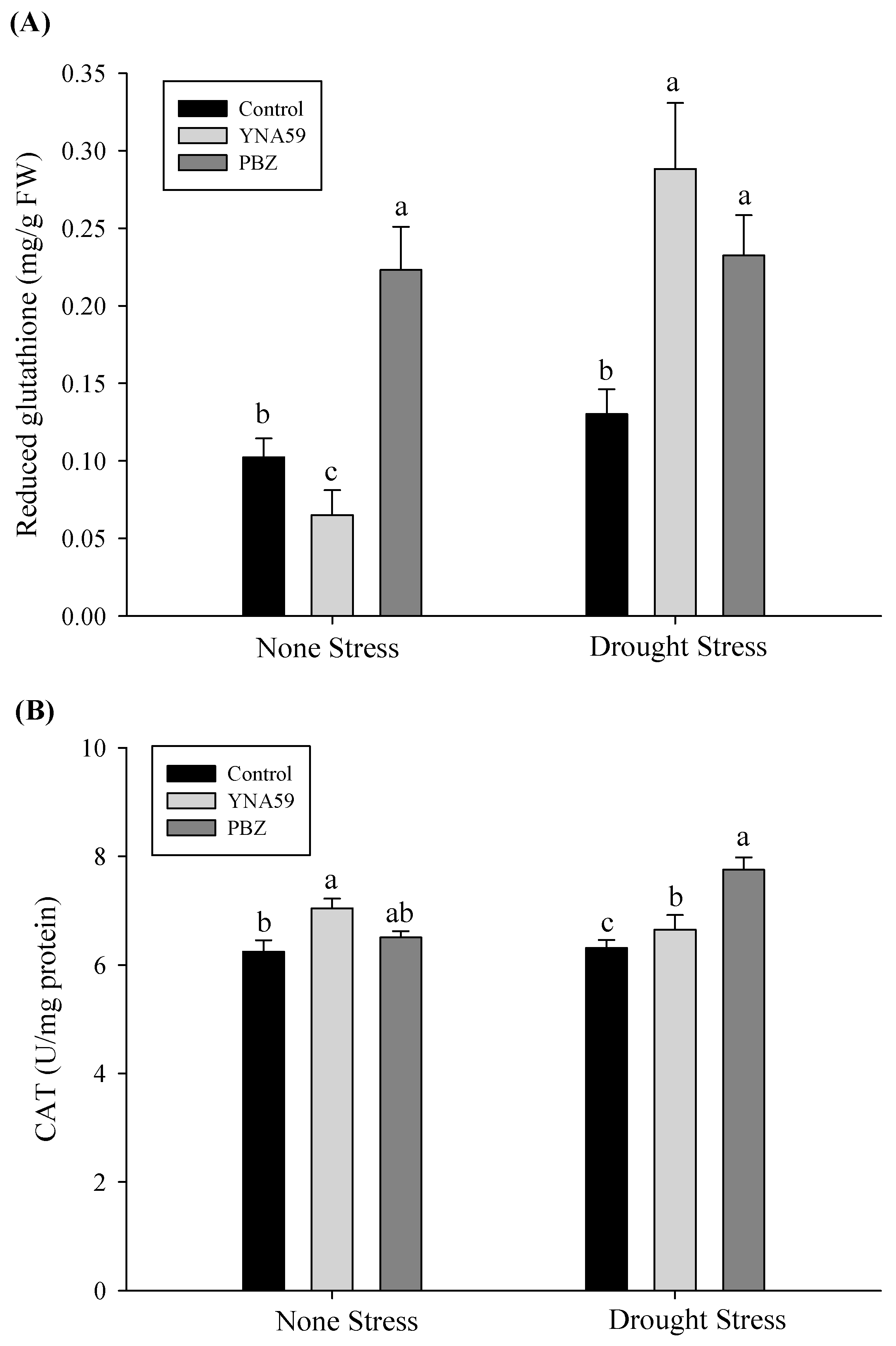 Microbiolres 14 00081 g005