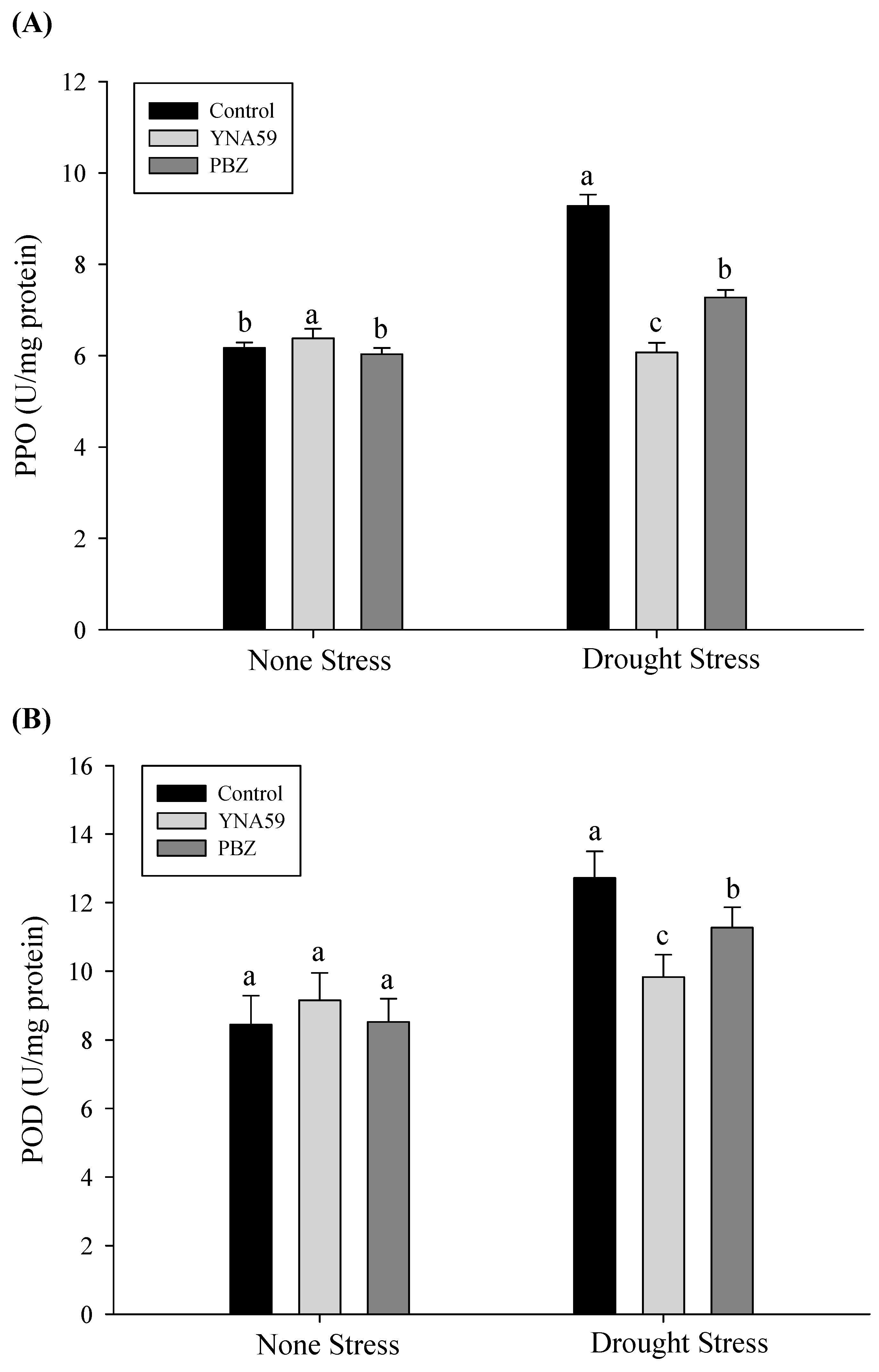 Microbiolres 14 00081 g006
