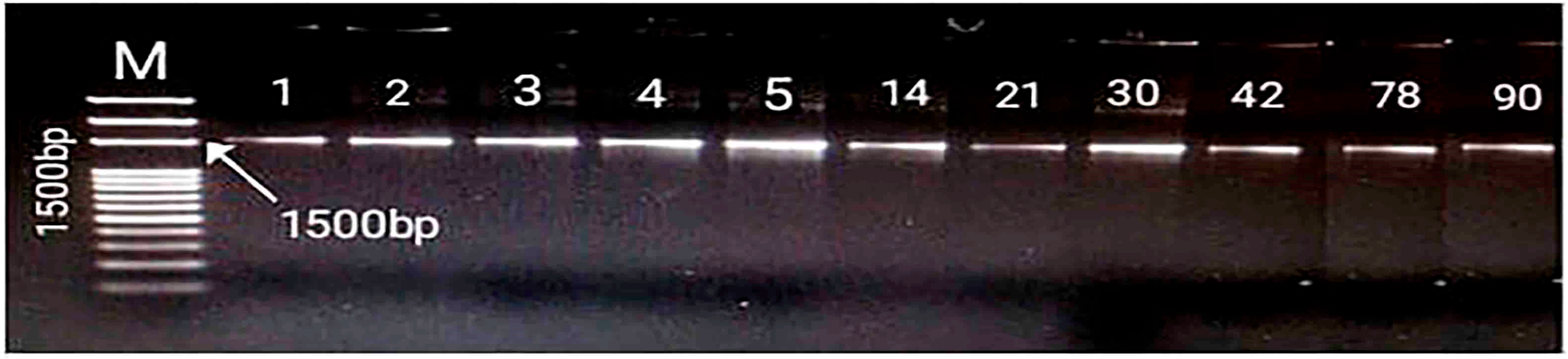 Microbiolres 14 00083 g002