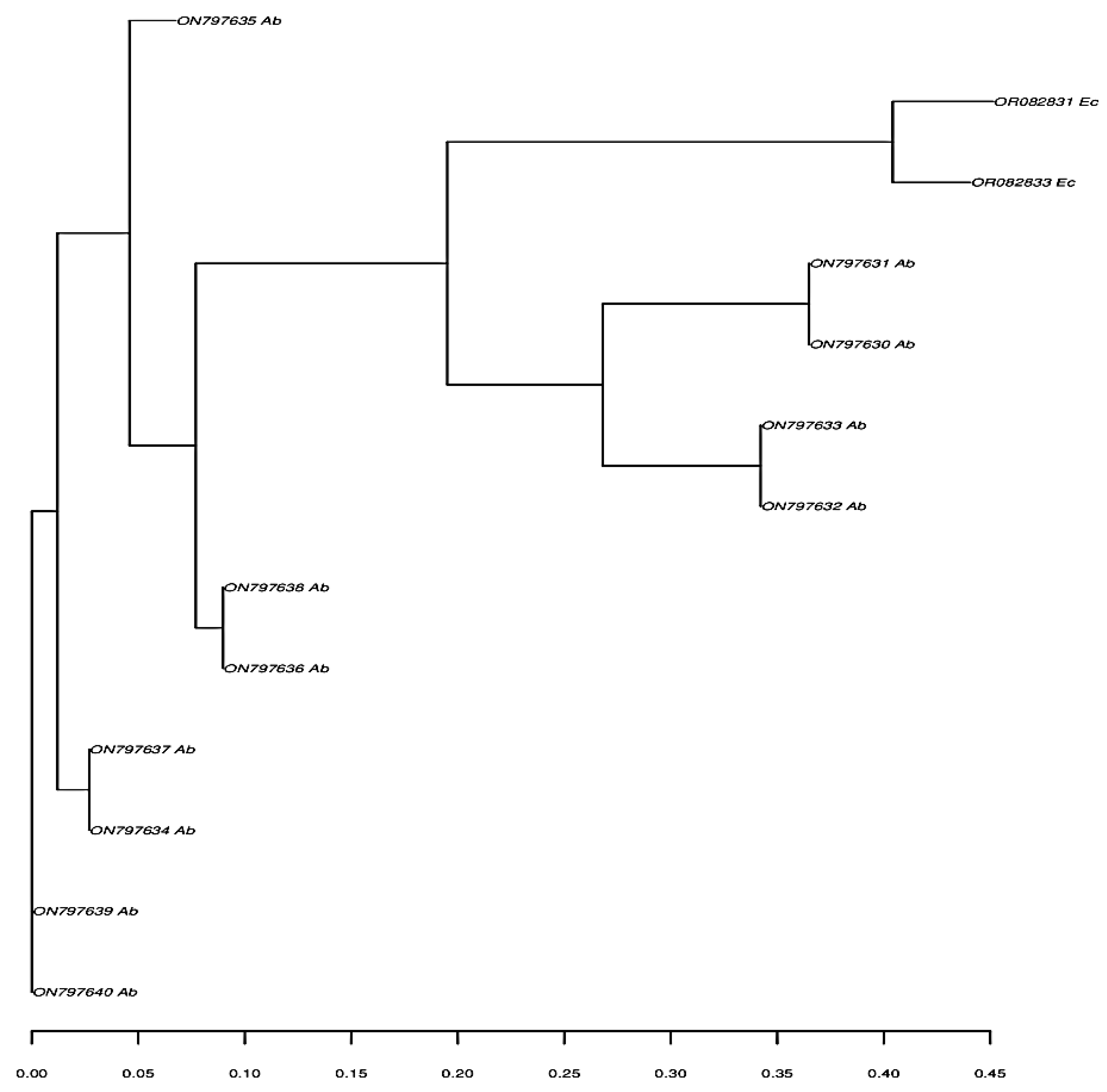 Microbiolres 14 00083 g003