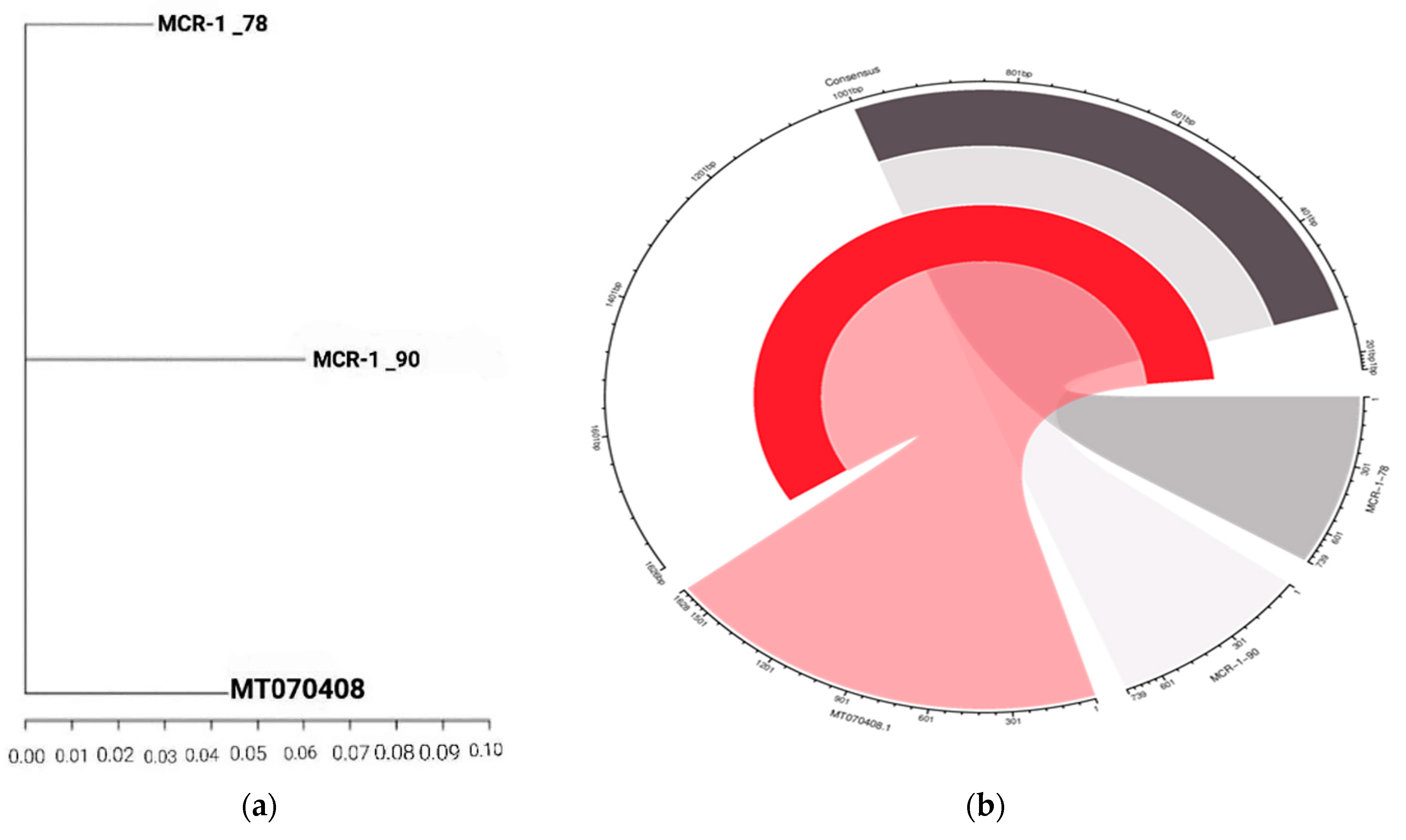 Microbiolres 14 00083 g006