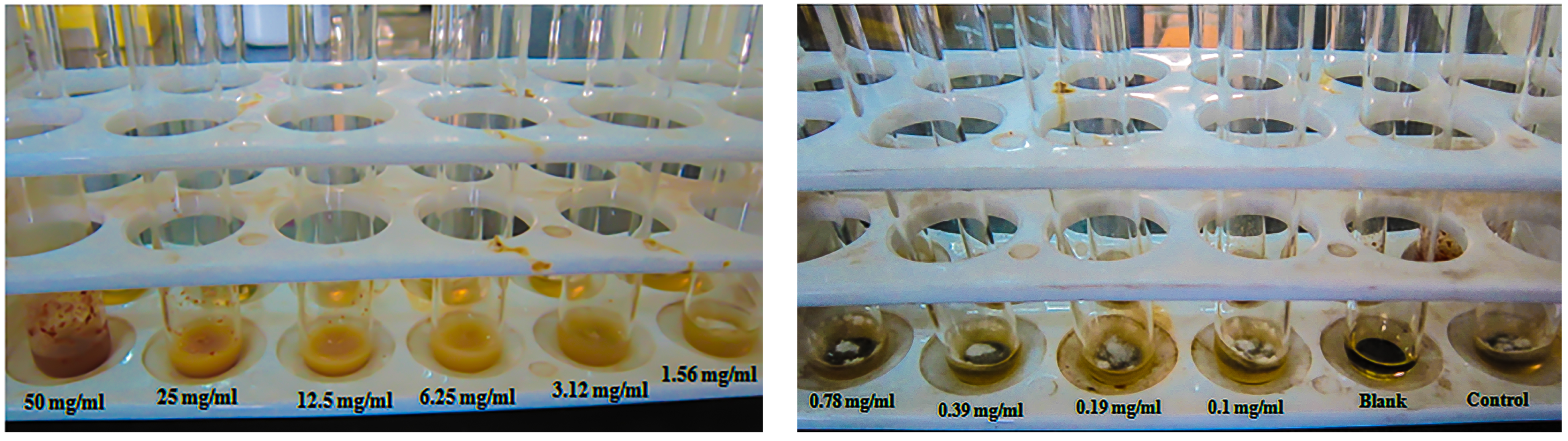 Microbiolres 14 00085 g003