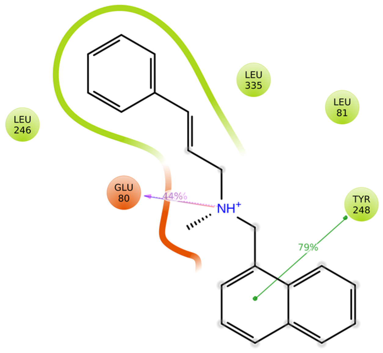 Microbiolres 14 00085 g012