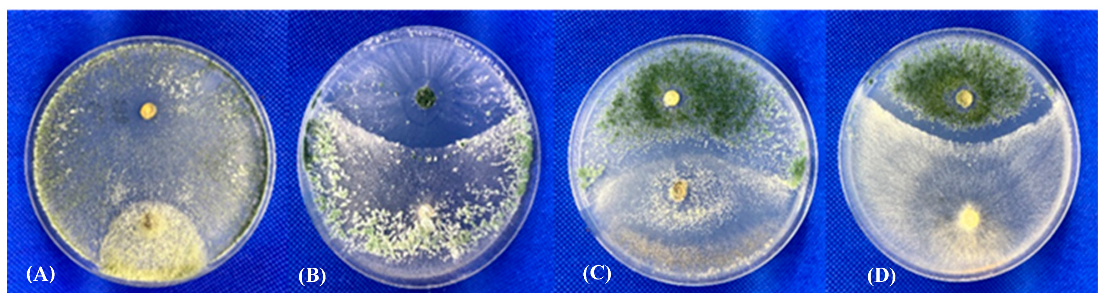 Microbiolres 14 00088 g005
