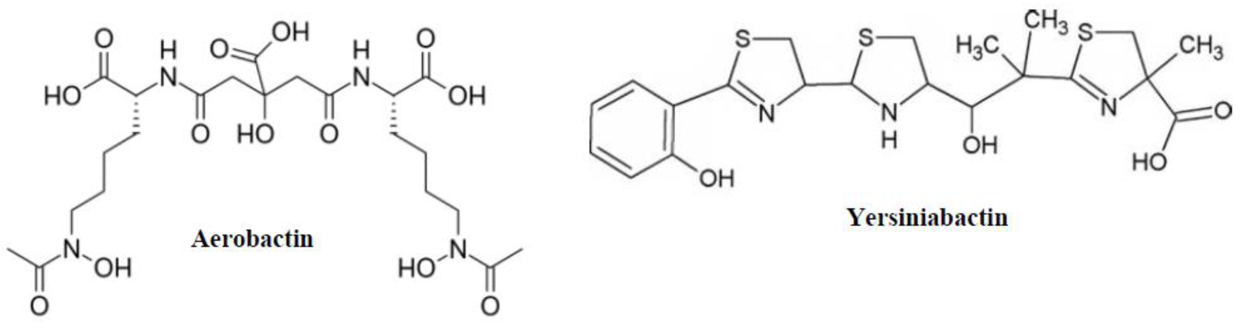 Microbiolres 14 00099 g005