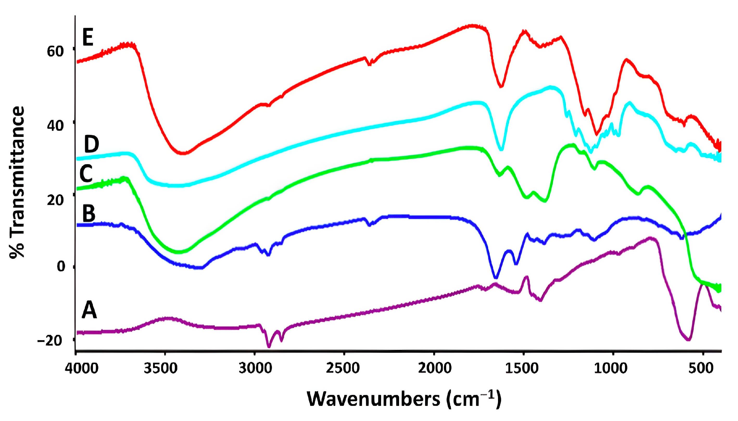 Microbiolres 14 00102 g005