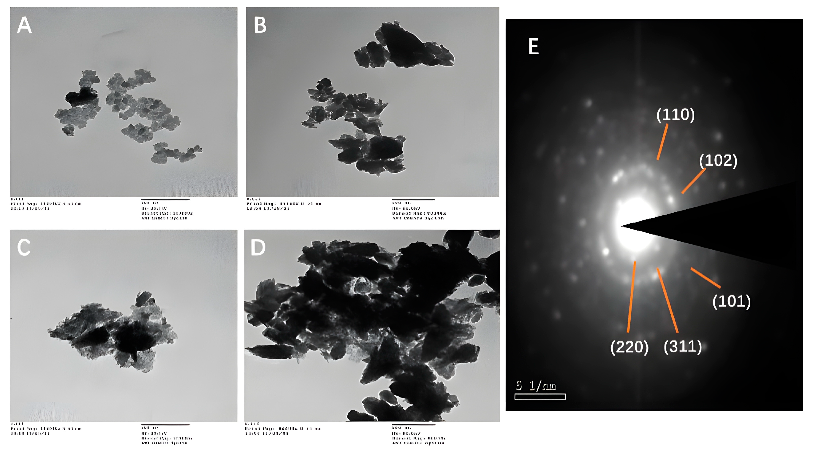 Microbiolres 14 00102 g007