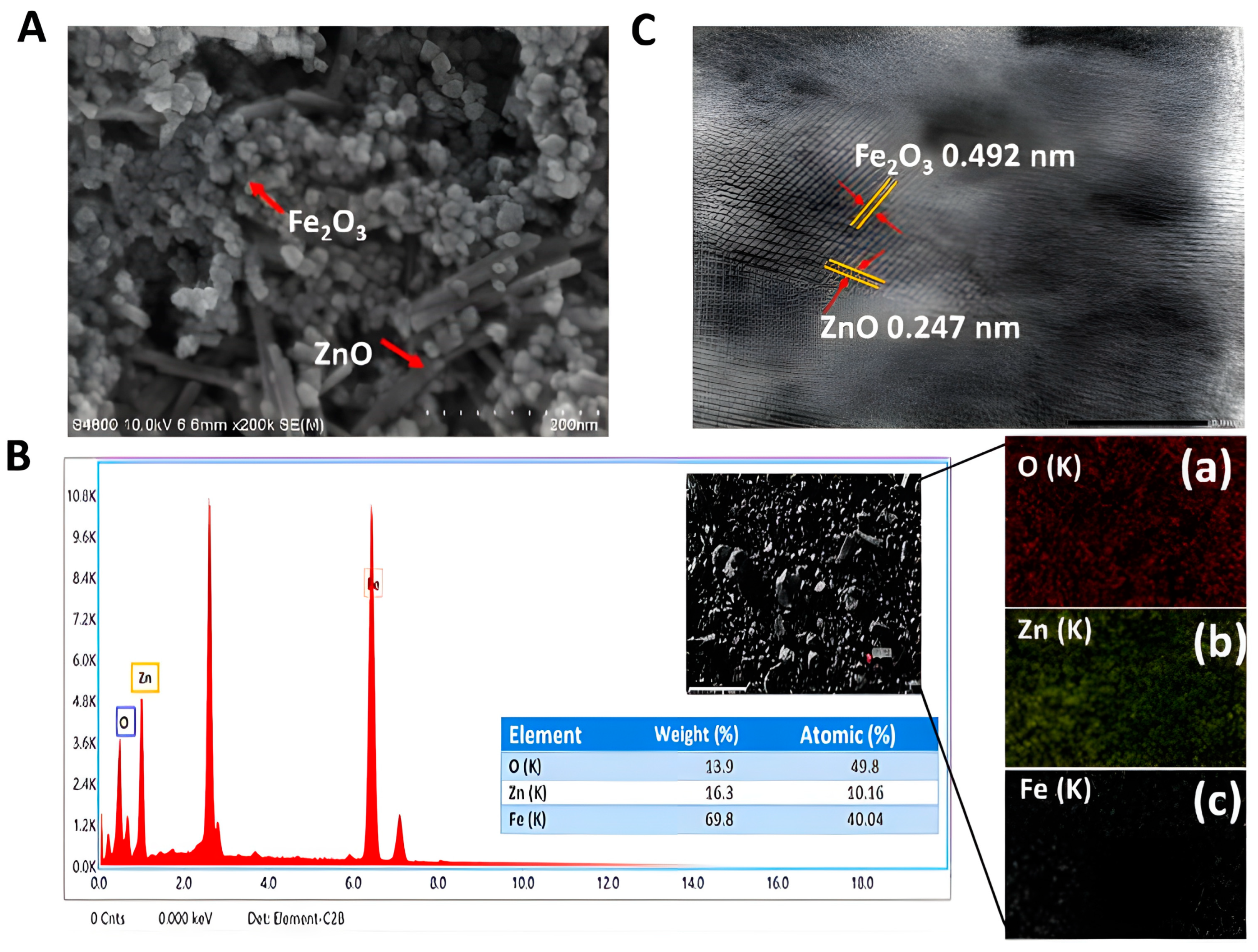 Microbiolres 14 00102 g008
