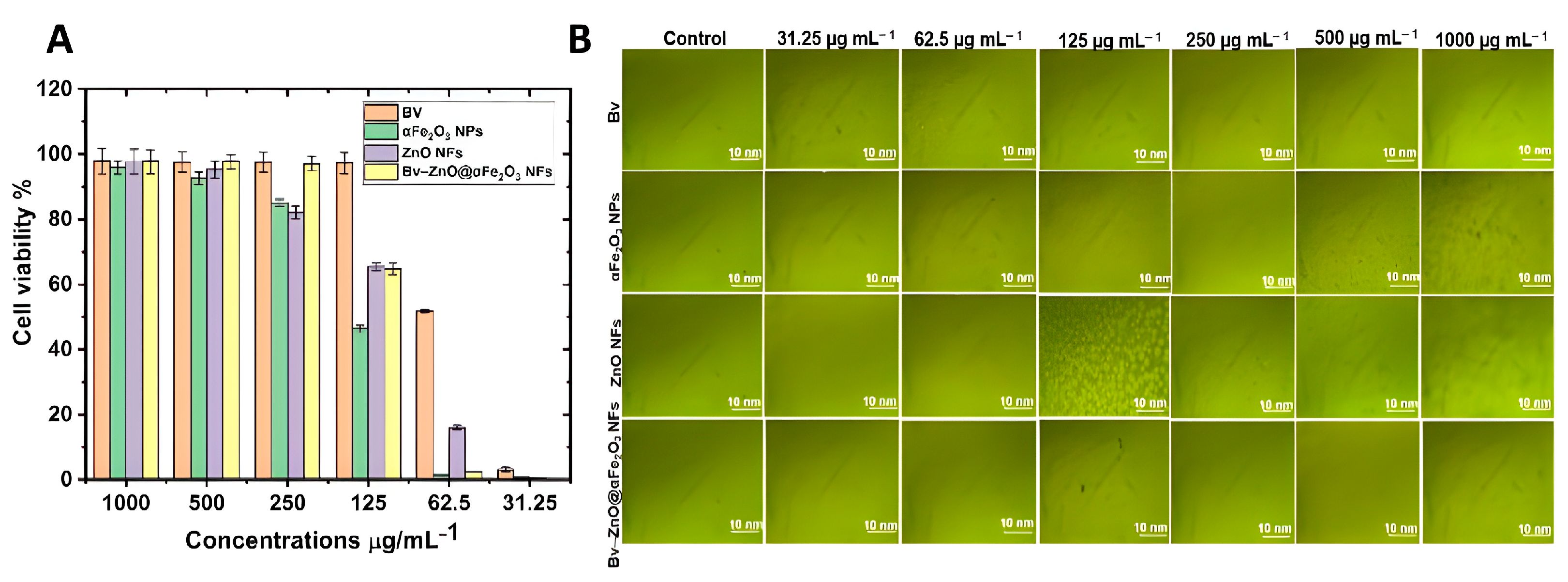 Microbiolres 14 00102 g009