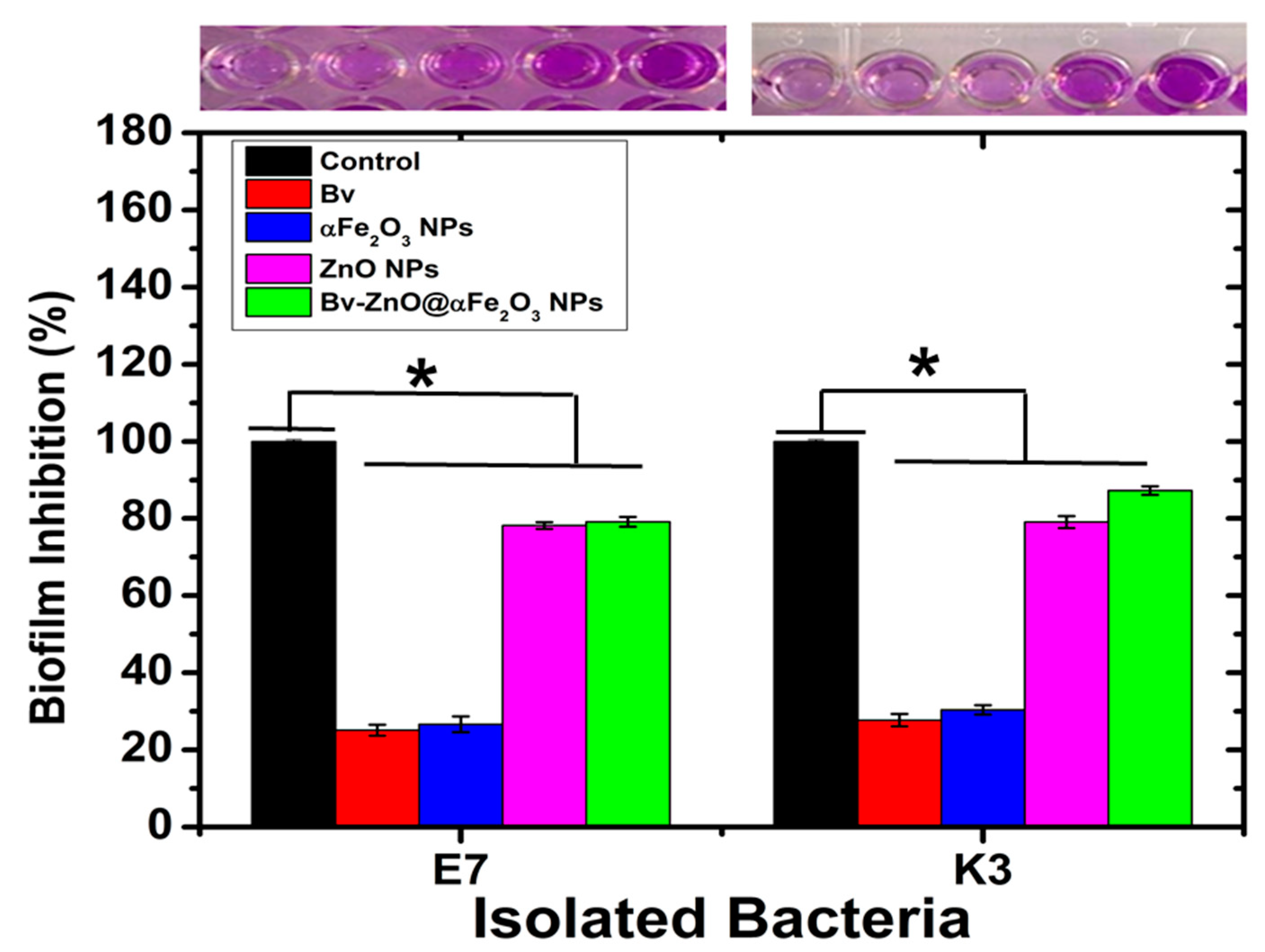 Microbiolres 14 00102 g010