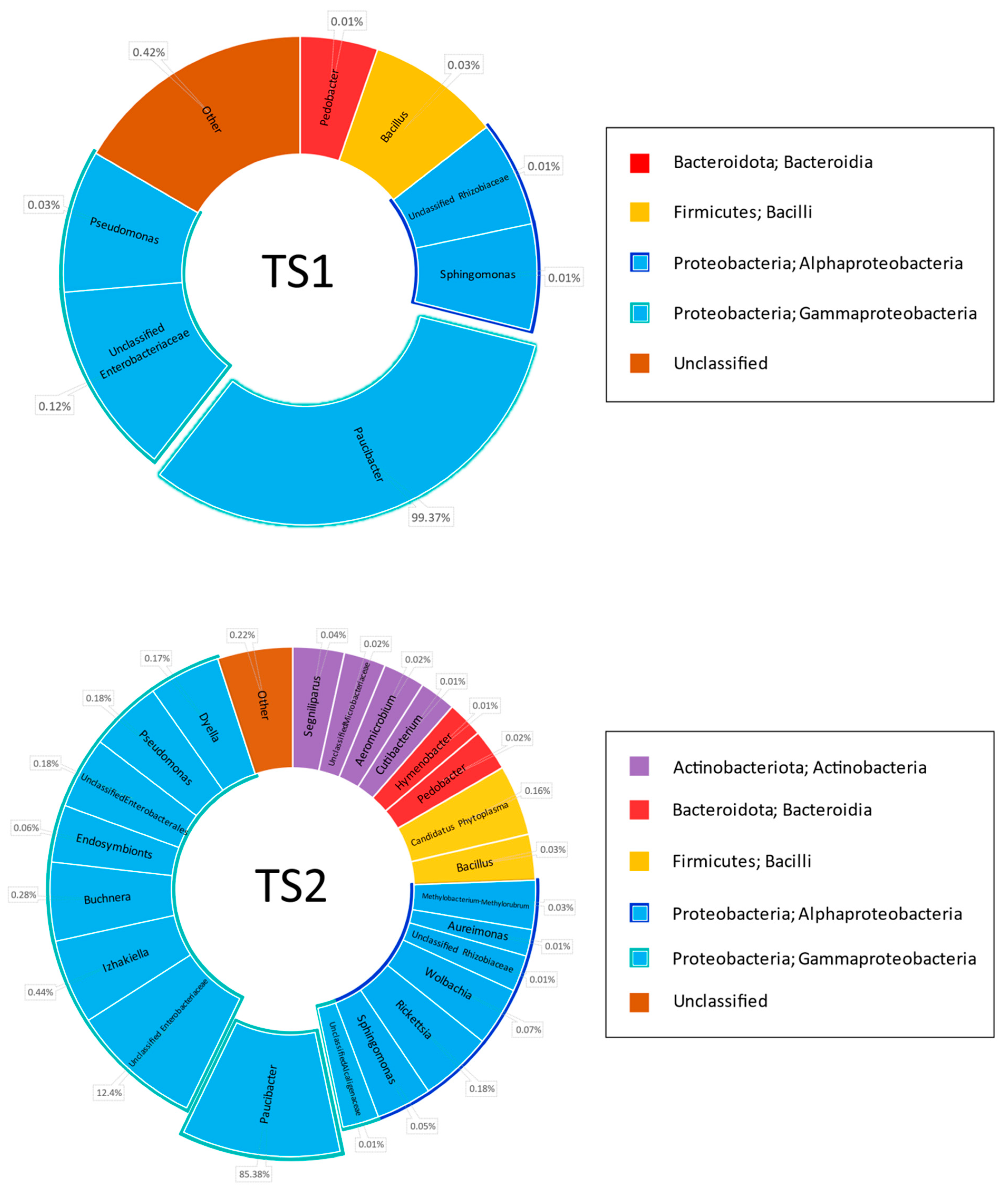 Microbiolres 14 00113 g001b