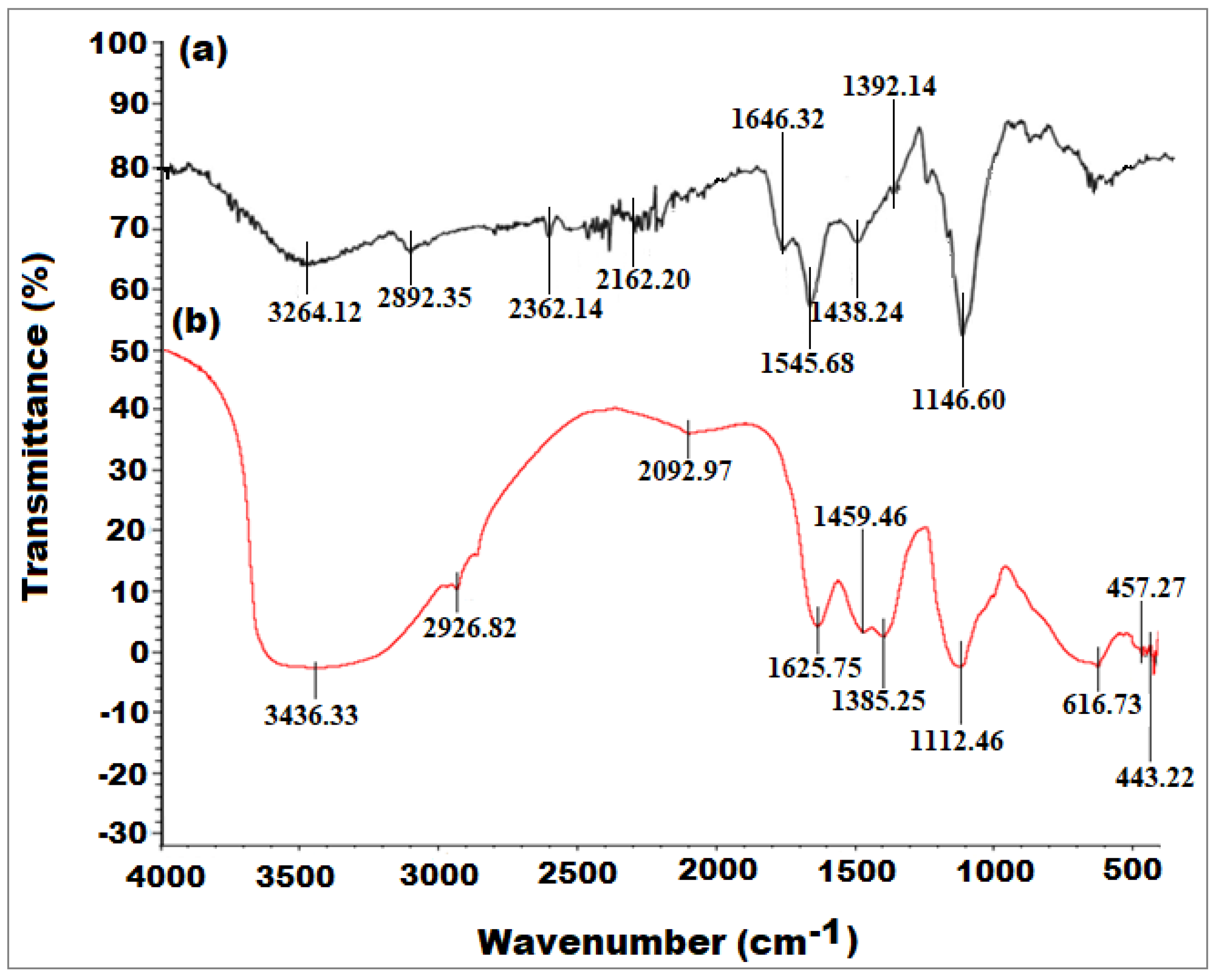 Microbiolres 14 00128 g002
